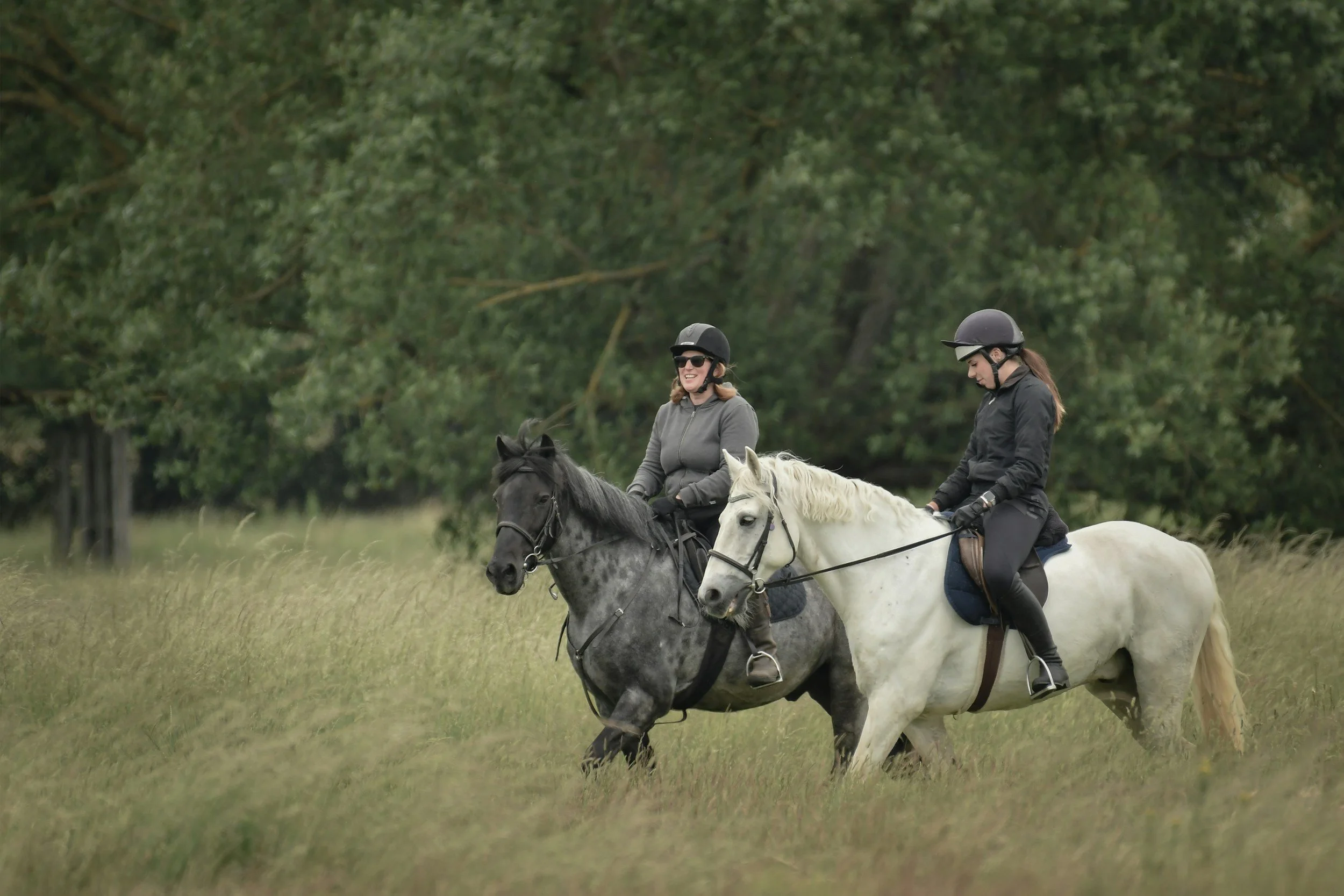 Two women riding horses through a grassy field with trees in the background, both wearing helmets and riding gear.