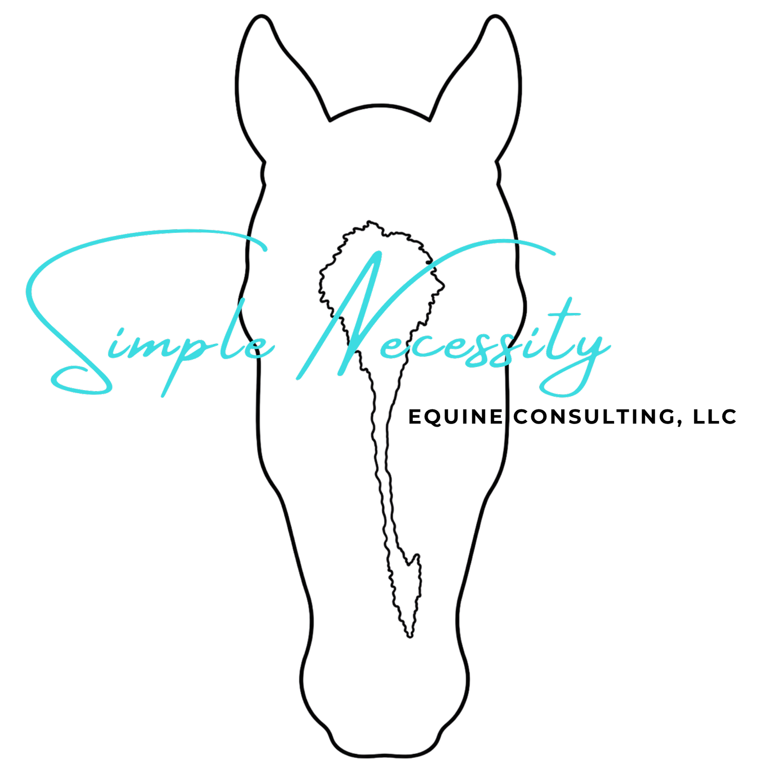 Simple Necessity Equine Consulting, LLC