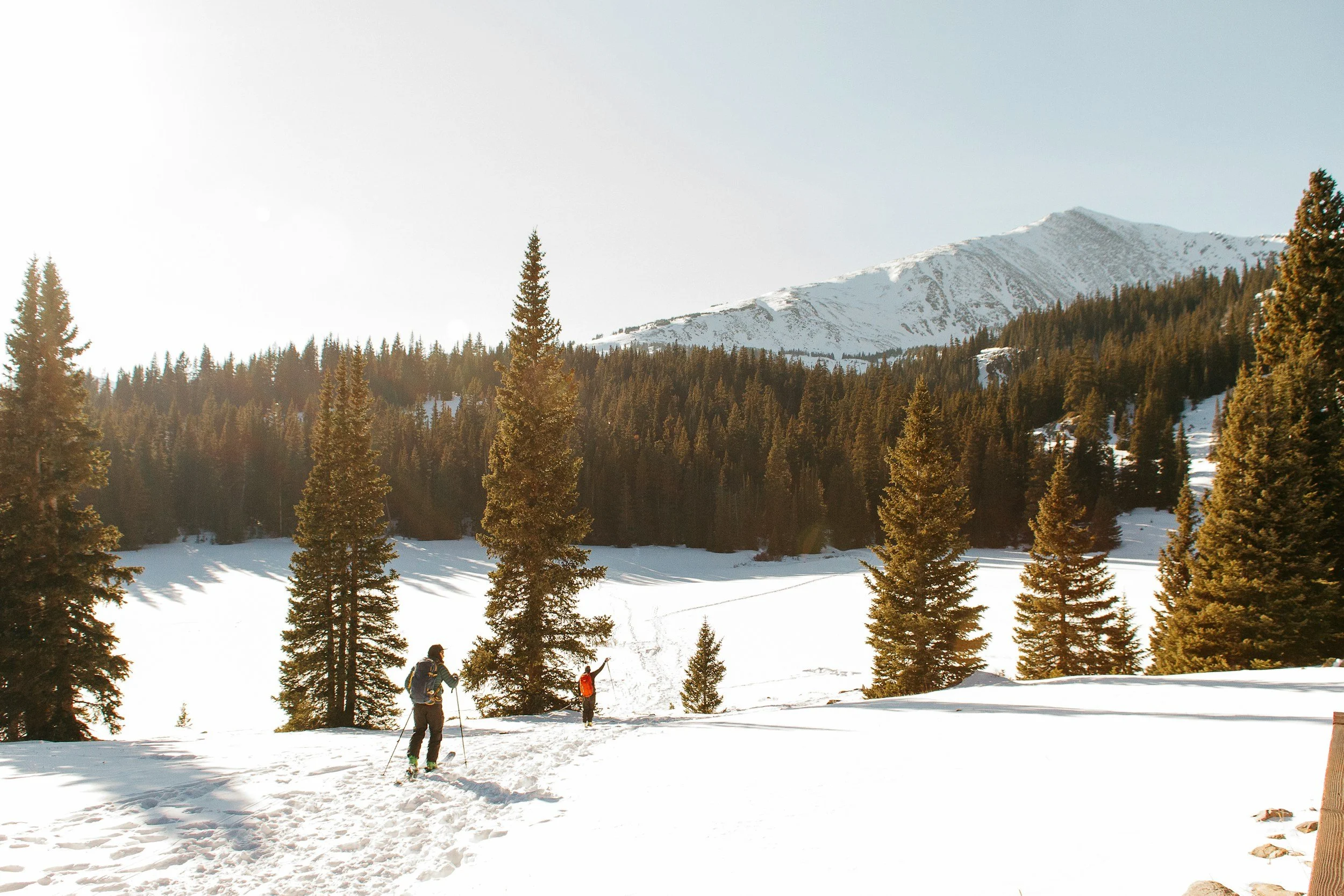 Two people cross-country skiing on a snowy trail in a forested mountainous landscape, with pine trees and a snow-covered mountain in the background.
