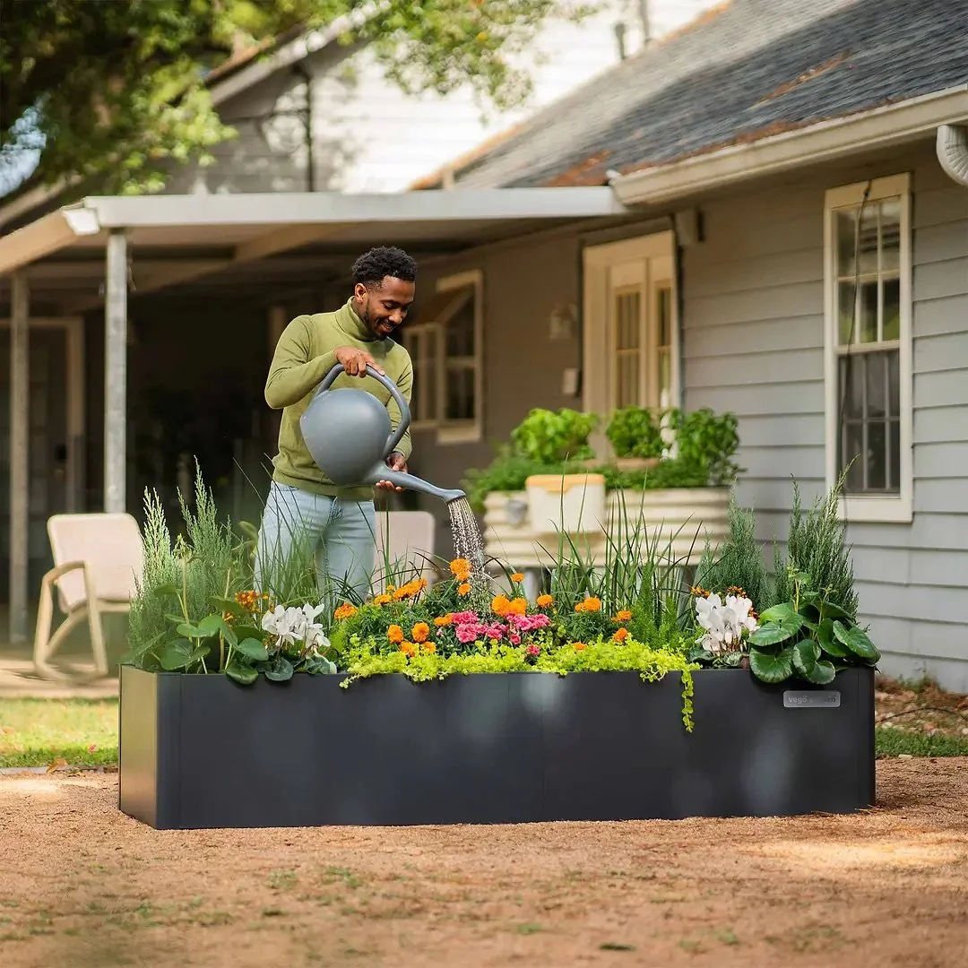 Gardener watering a Vego Garden raised bed