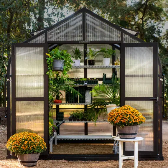 Vego Garden greenhouse filled with plants