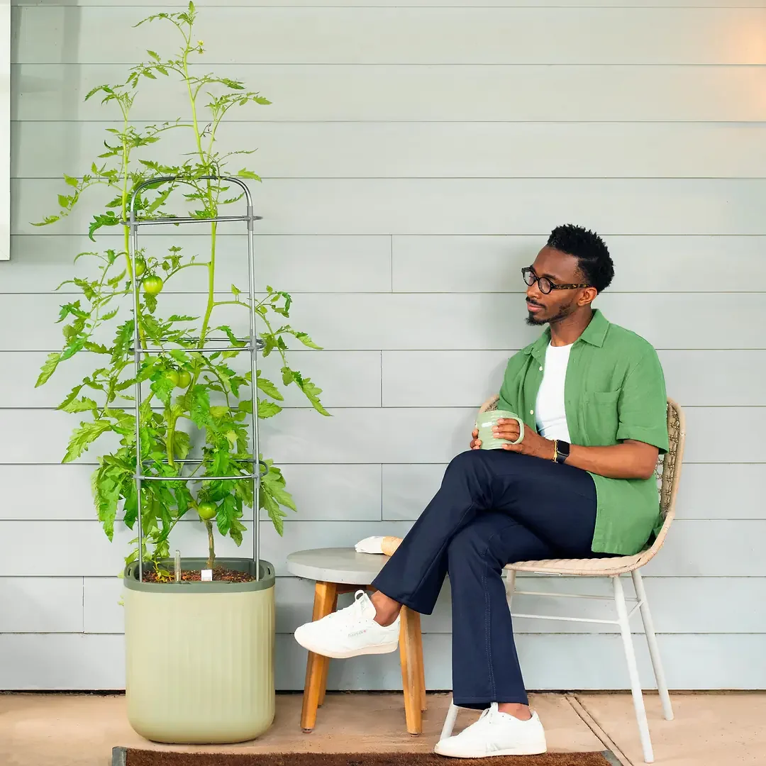 Vego Garden tomato planter lifestyle photograph