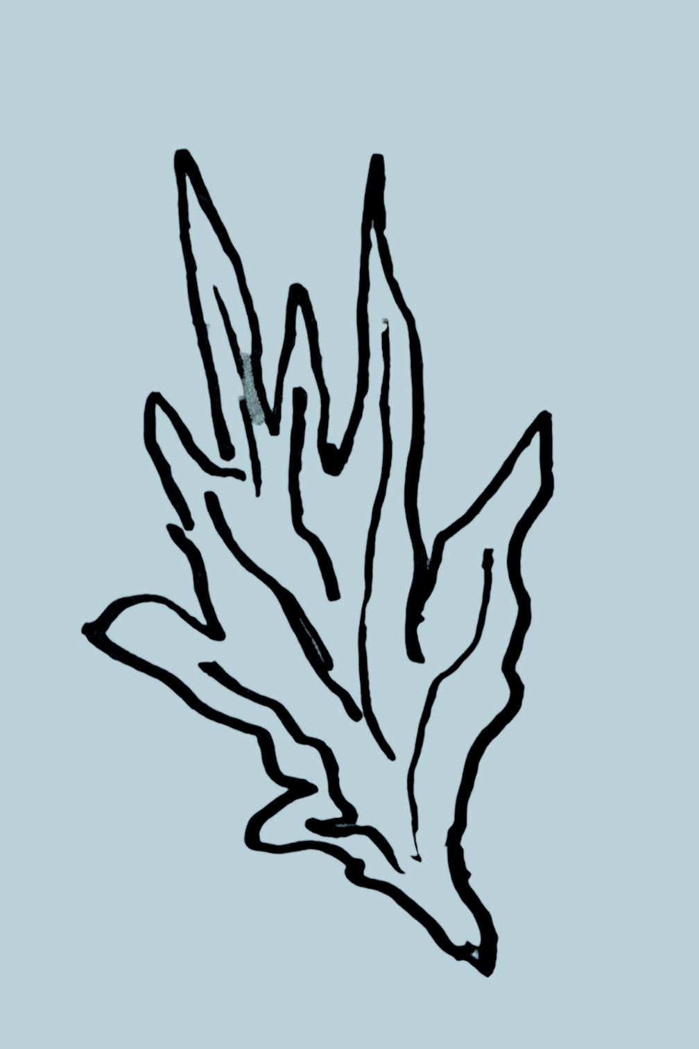 Photoroom_20260705_134106.png