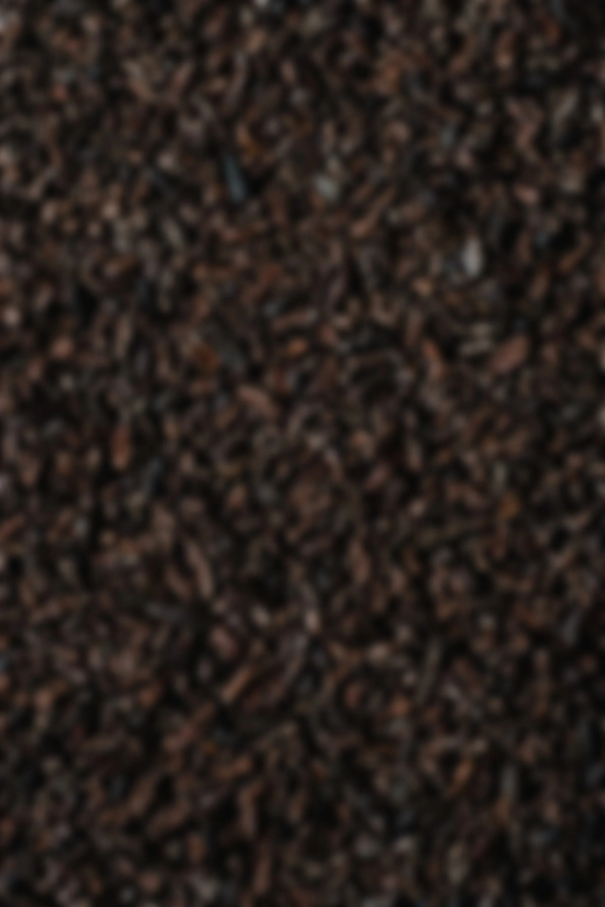 Close-up view of dark brown coffee grounds.