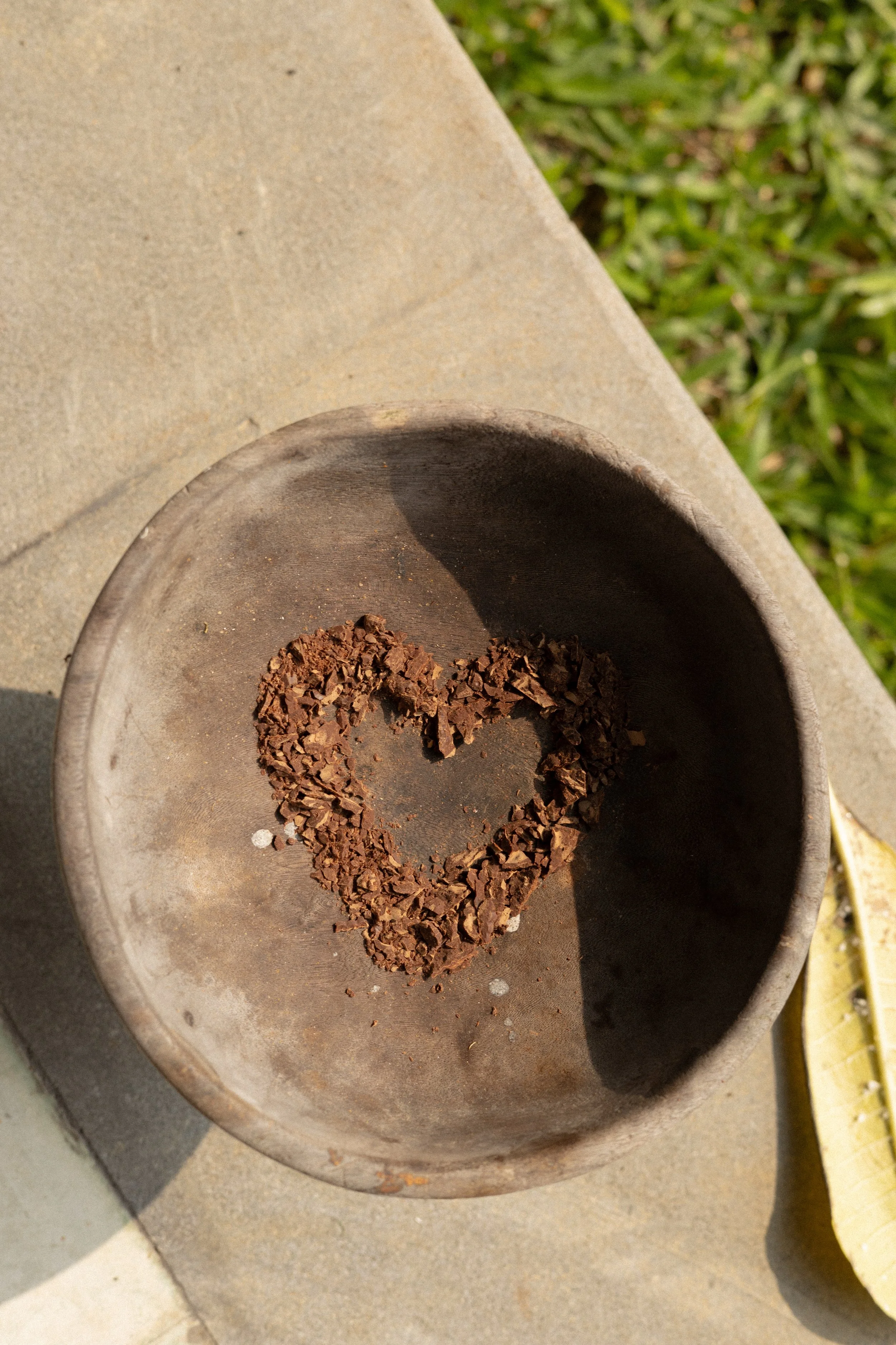 Close-up of a metal grinder with dried cocoa beans inside, placed on a concrete surface outdoors with grass visible in the background.