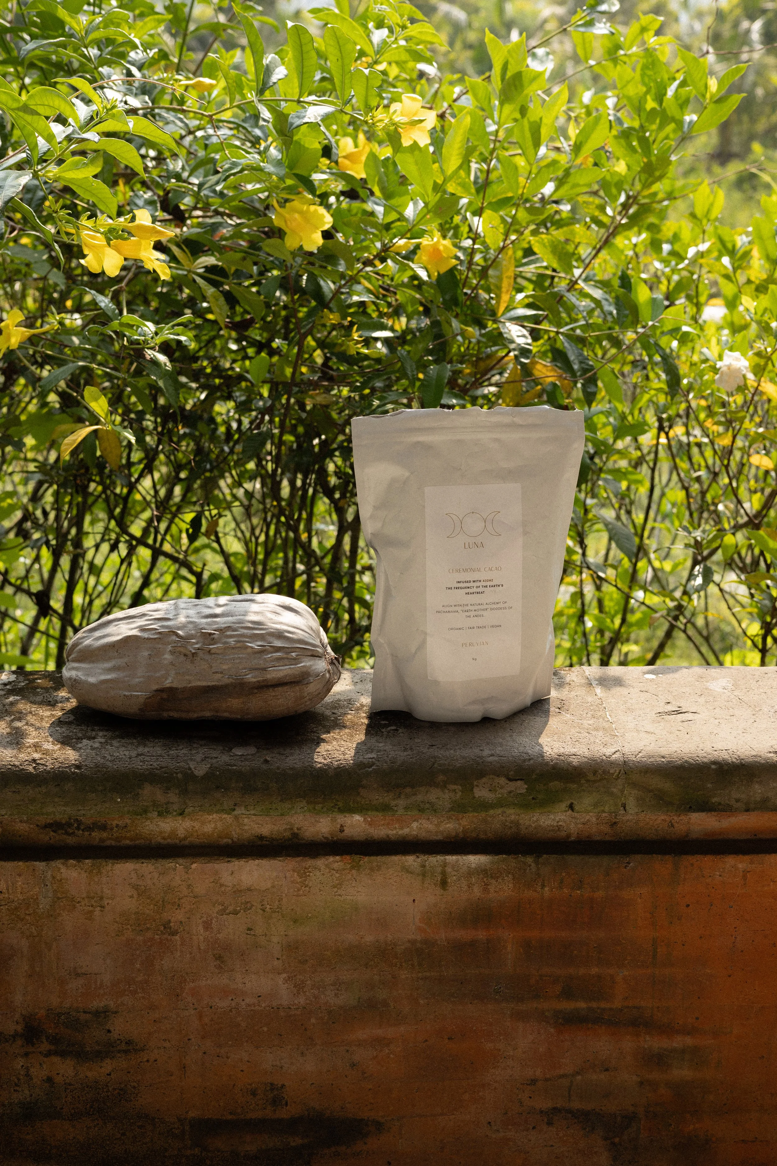 A large, elongated gray cacao pod resting on a brick surface. Behind it, a white bag of cacao with a minimalist logo and text, set against a background of green foliage with yellow flowers.