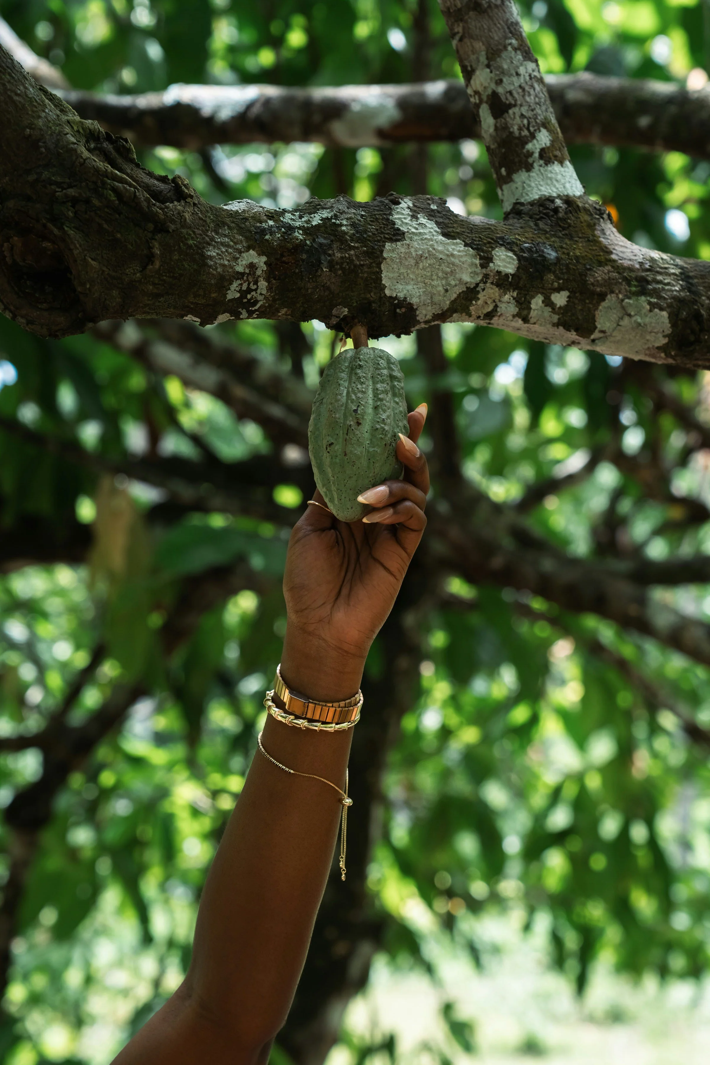 Our Black Friday Approach: Fair Prices and Ceremonial Cacao