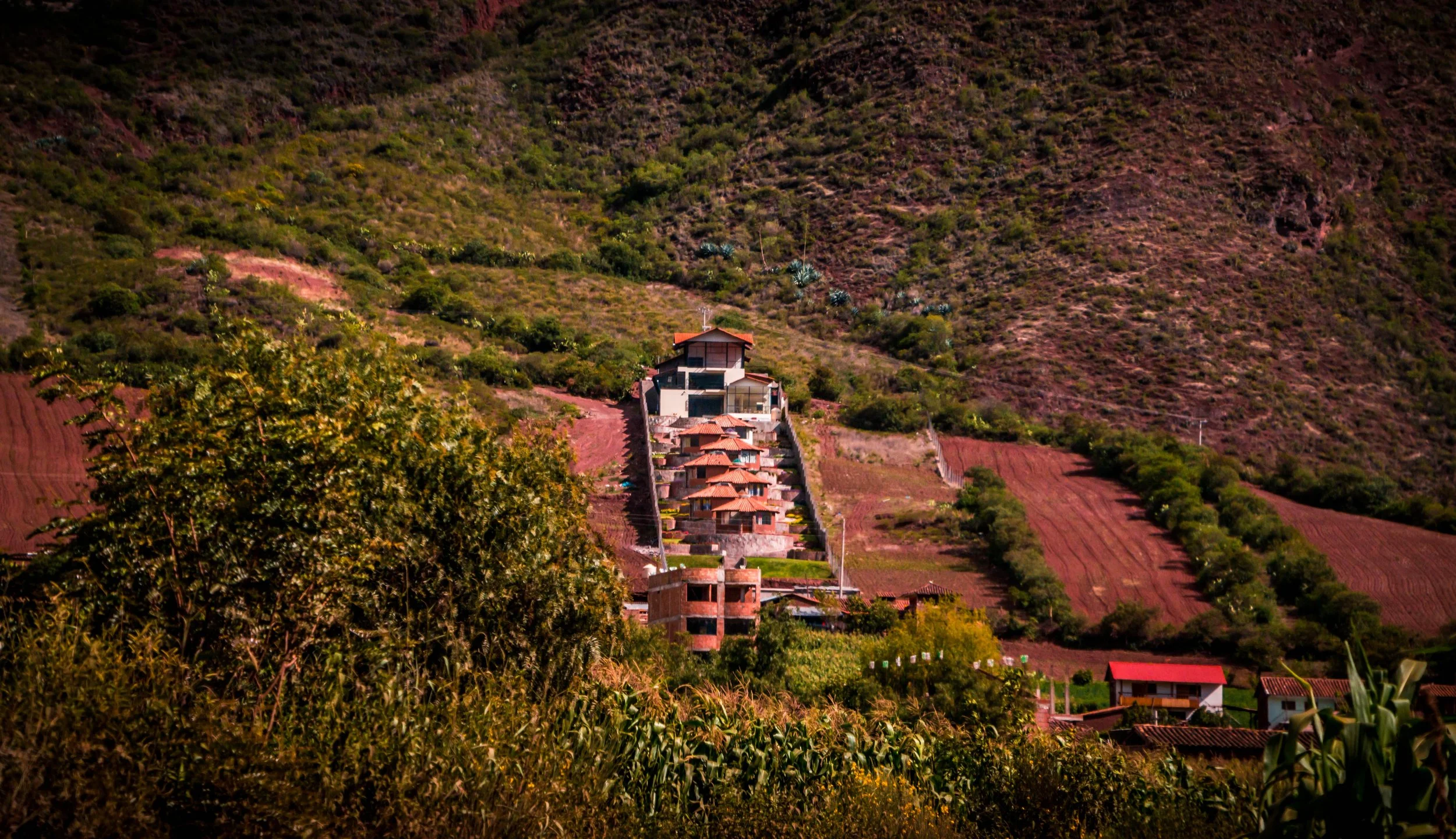 Samadhi-94.jpg