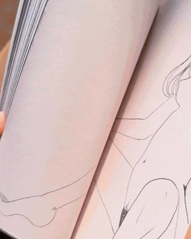 Vol 1 Pages.gif