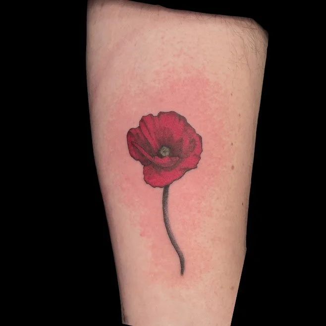 Tattoo of a red poppy flower with a long, thin stem on a person's arm.