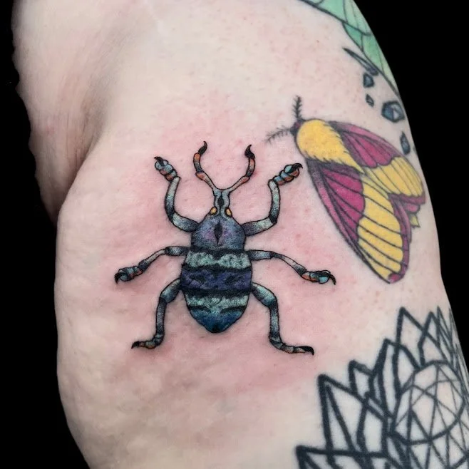 Colorful tattoo of a beetle on skin, with part of a butterfly tattoo visible in the background.
