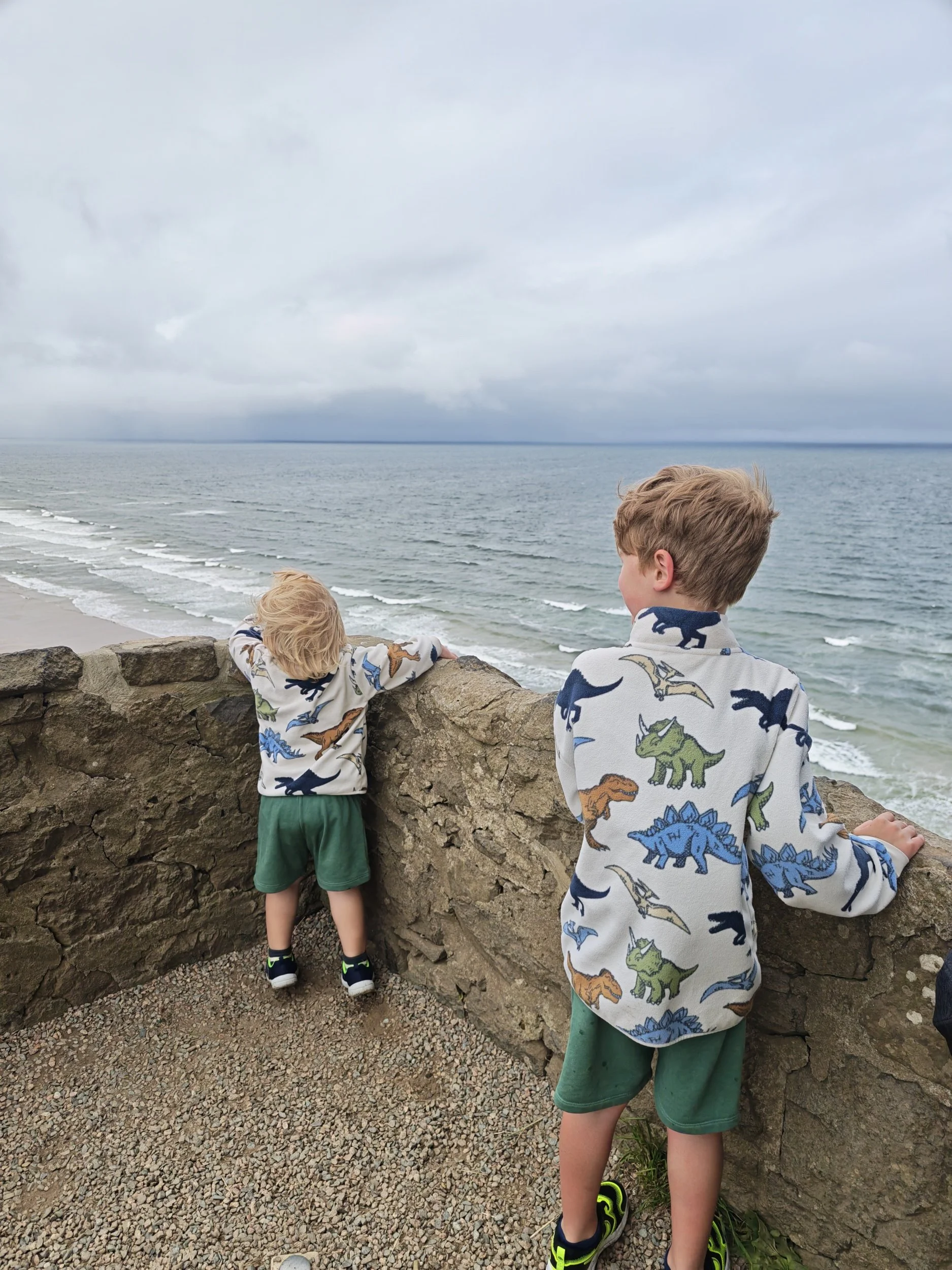 Two young boys with dinosaur-patterned clothing standing near a stone wall, looking at the ocean and cloudy sky. One boy leans on the wall, the other stands with his arm on it.