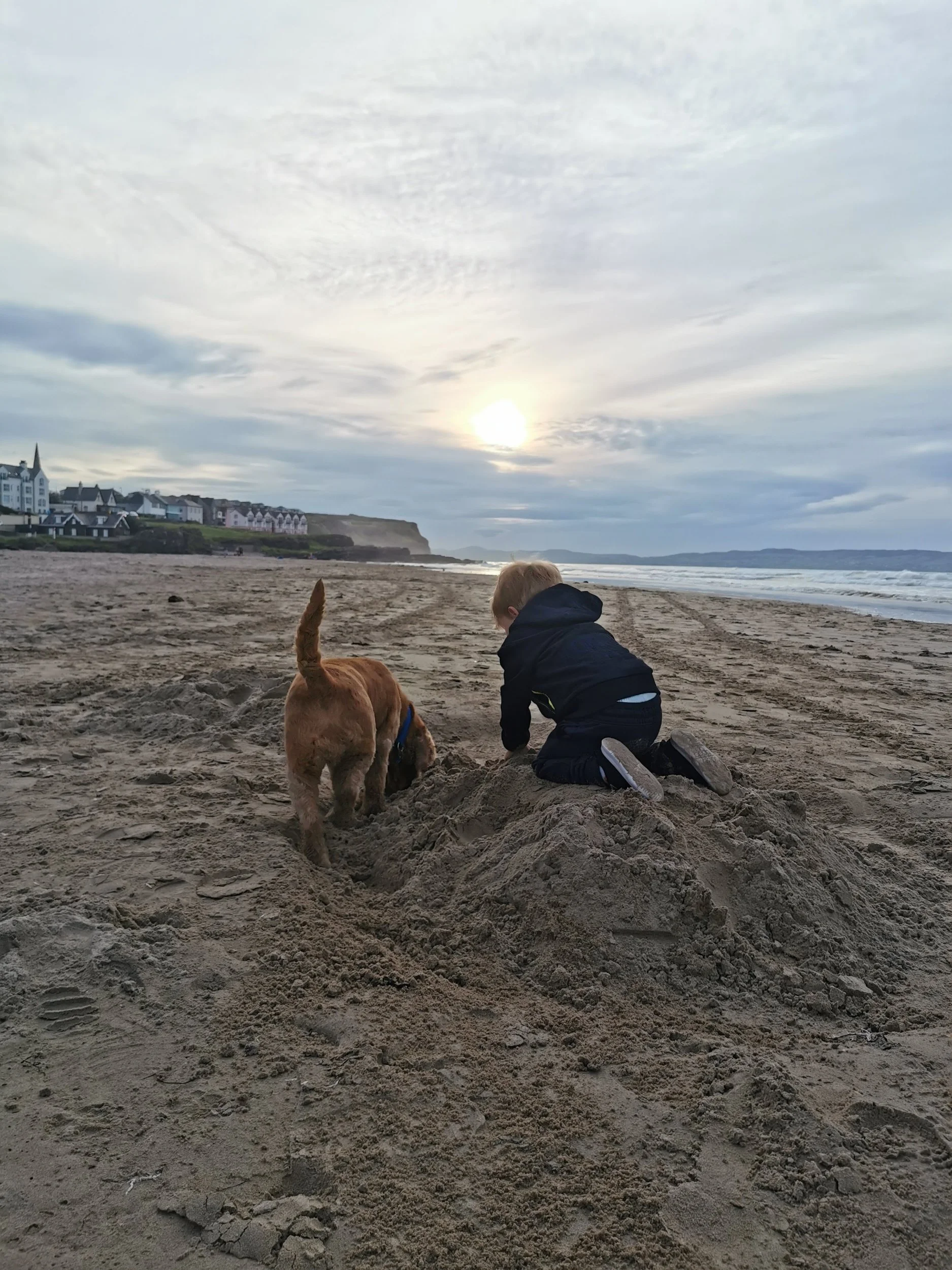 A boy and a dog playing on a sandy beach during sunset, with houses and cliffs in the background.