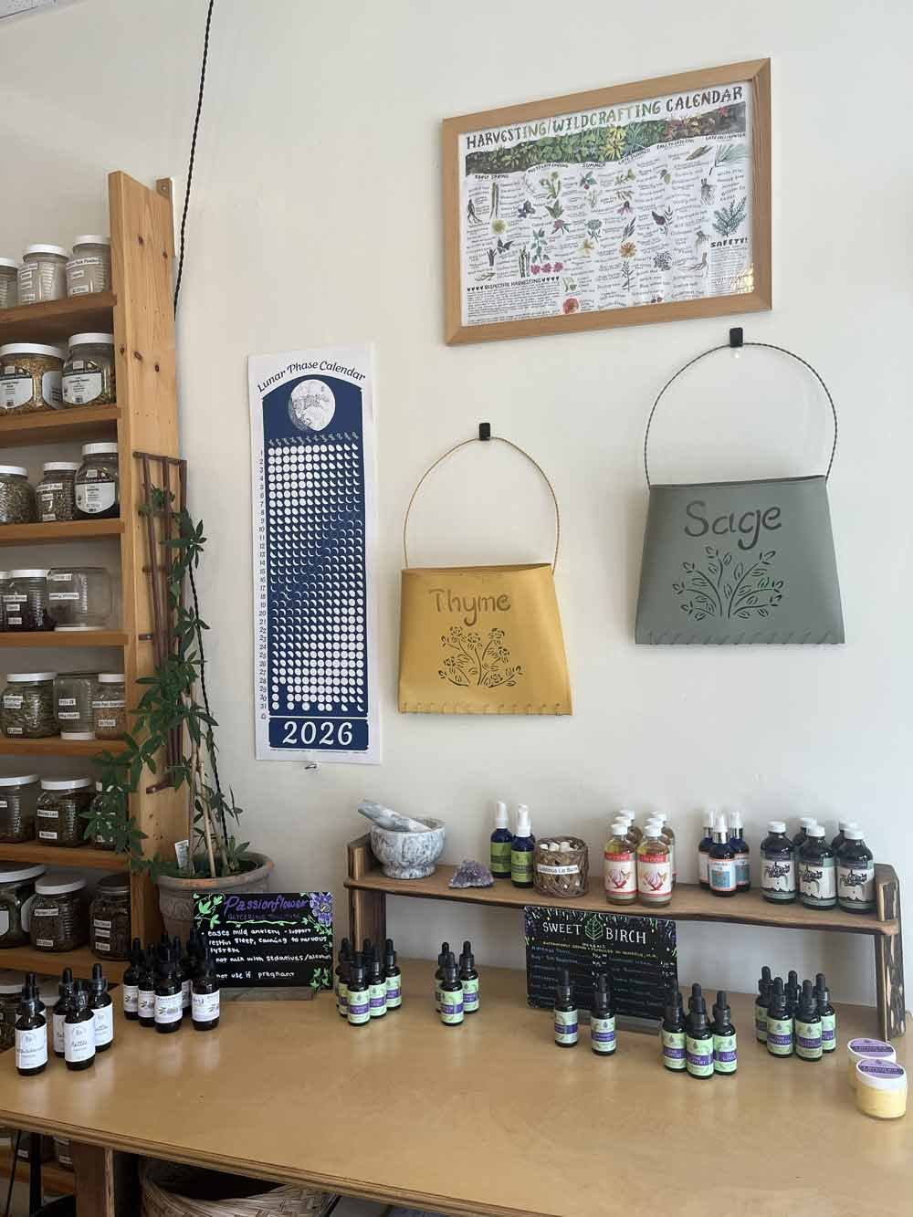 Herbal products and essential oils on display table in a room for herbal medicine or aromatherapy, with jars, bottles, and labeled containers, and herbal-themed wall decor.