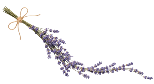 Sprig of lavender tied with a string against a black background.