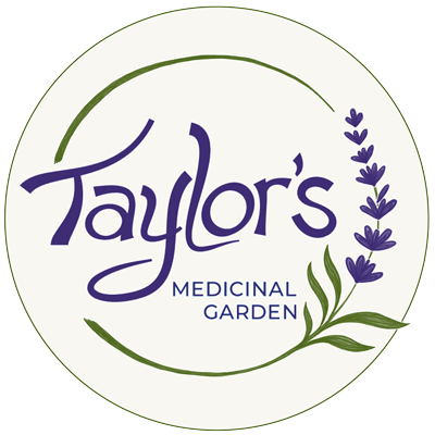 Logo for Taylor's Medicinal Garden with purple lavender and green leaves.