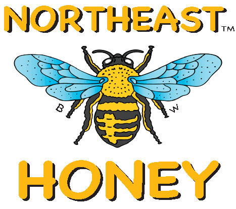 Illustration of a bee with blue wings and yellow and black striped body, with text 'Northeast Honey' above and below it.