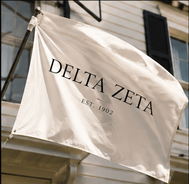 Delta Zeta - Social Media Strategy & Rebrand