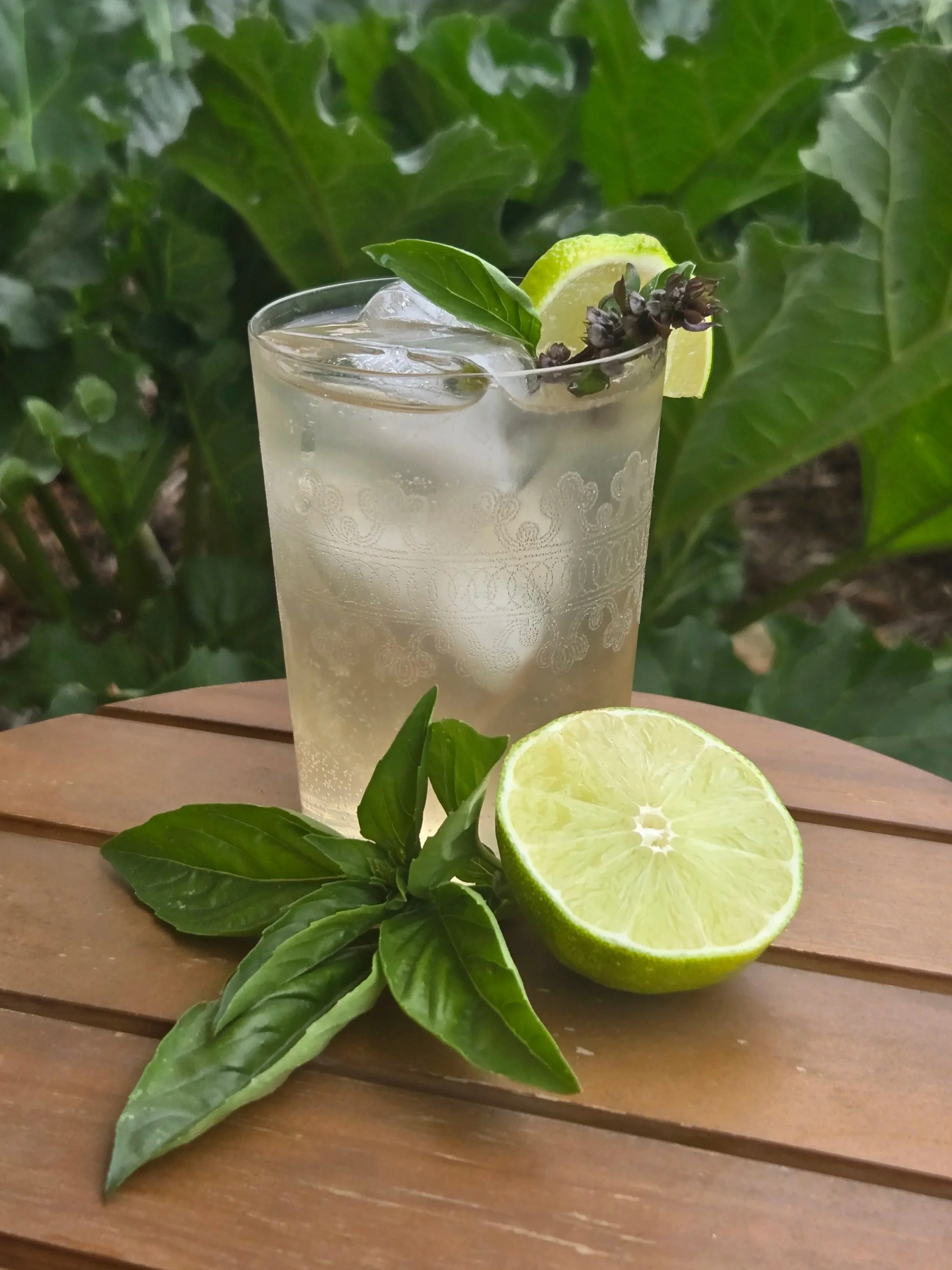 A glass of lime-infused beverage garnished with black basil and lime wedge, placed on a wooden surface with fresh basil leaves and a sliced lime in the foreground, and green leafy plants in the background.