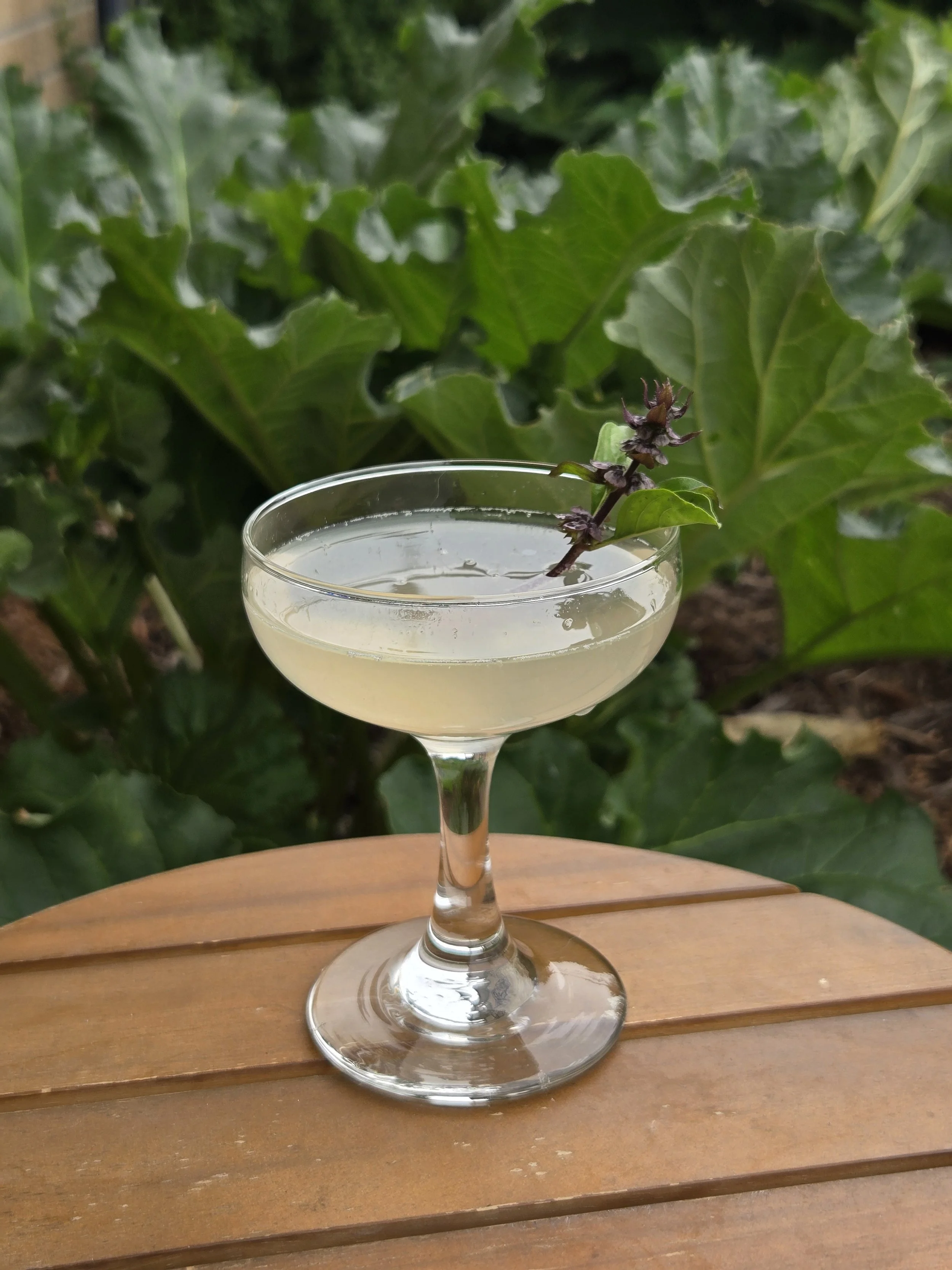 Rhubarb Simple Syrup