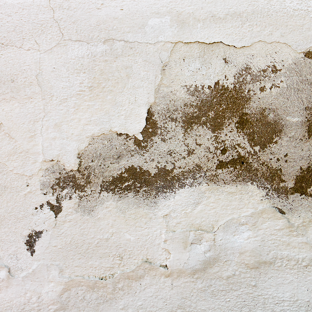 5 Warning signs you have a hidden slab leak