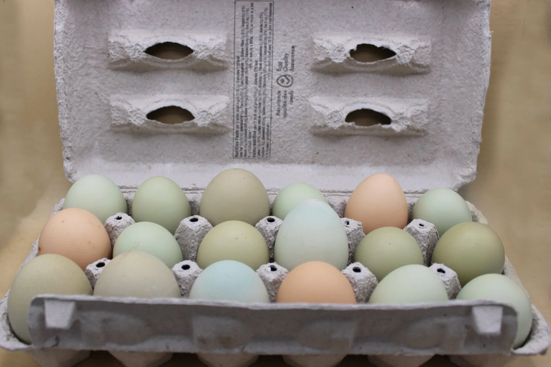 Oeufs frais- Fresh Eggs 18