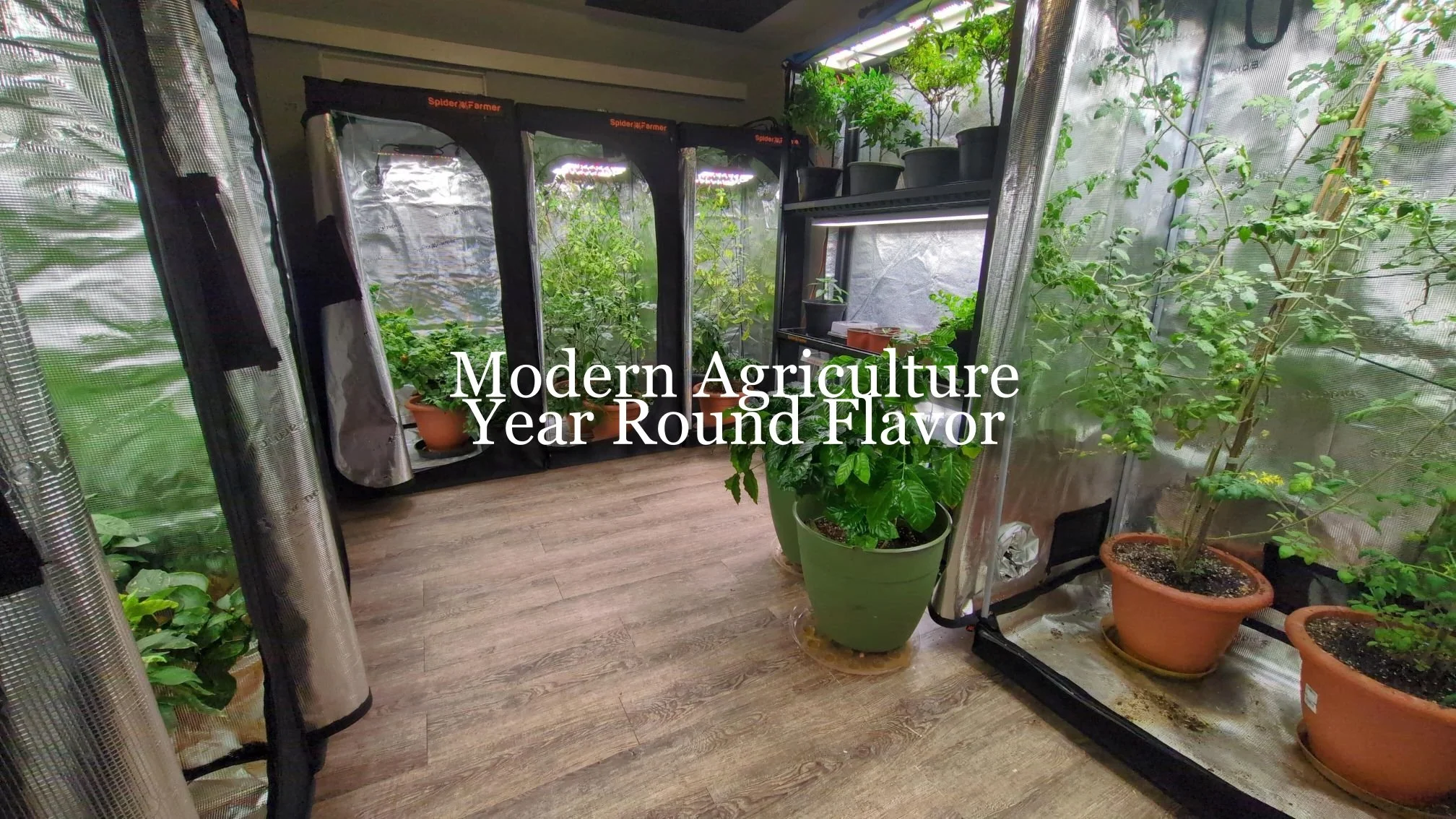 An indoor garden with potted plants, grow lights, and reflective panels. The text overlay reads "Modern Agriculture Year Round Flavor."