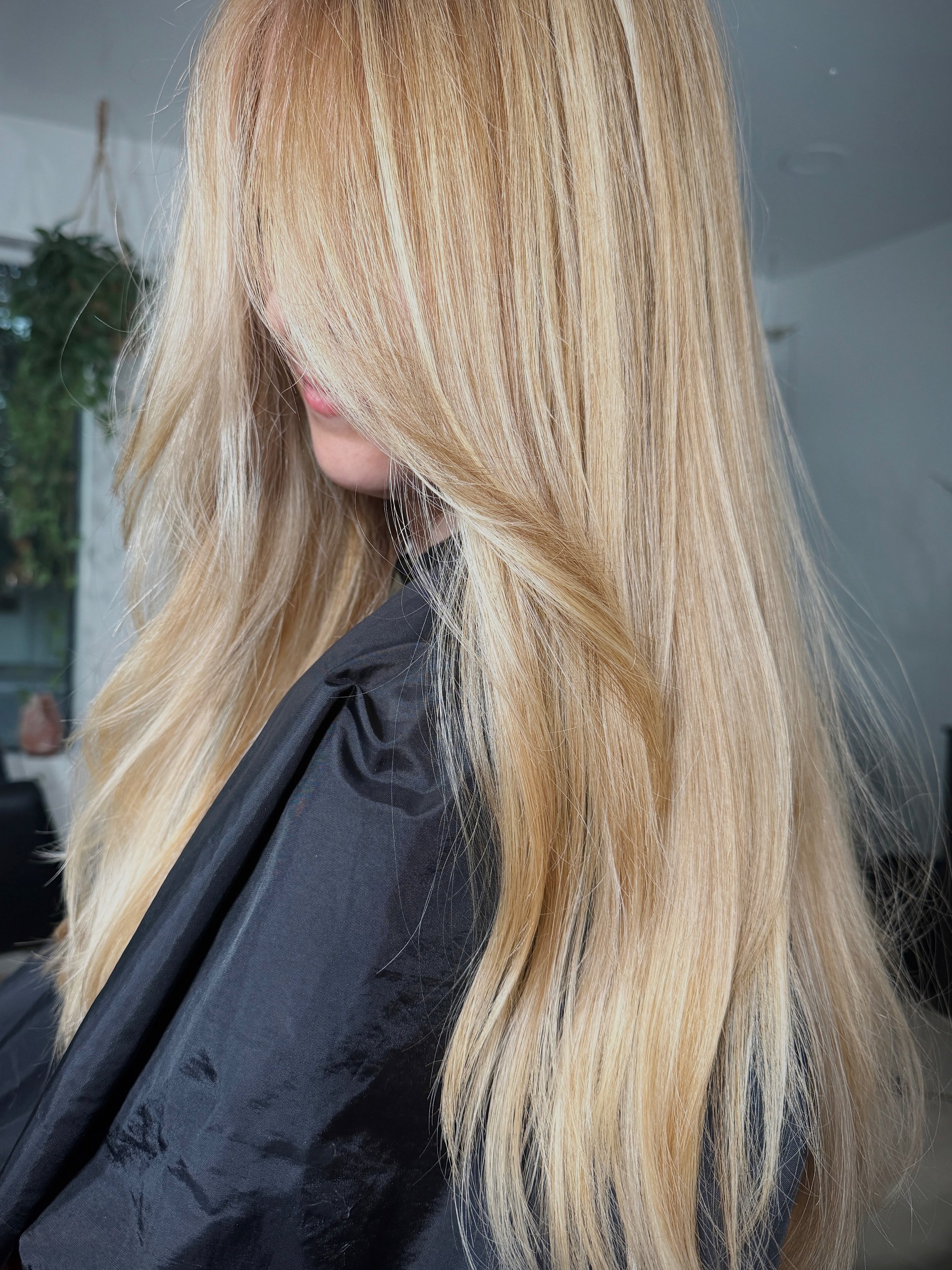 If you&rsquo;ve been wanting to feel brighter without high maintenance grow out, this is exactly what lived in blonde is made for.

- Soft blend
- Bright around the face
- Easy grow out

Swipe for the transformation. 🍯 

#phoenixblondespecialist #sc