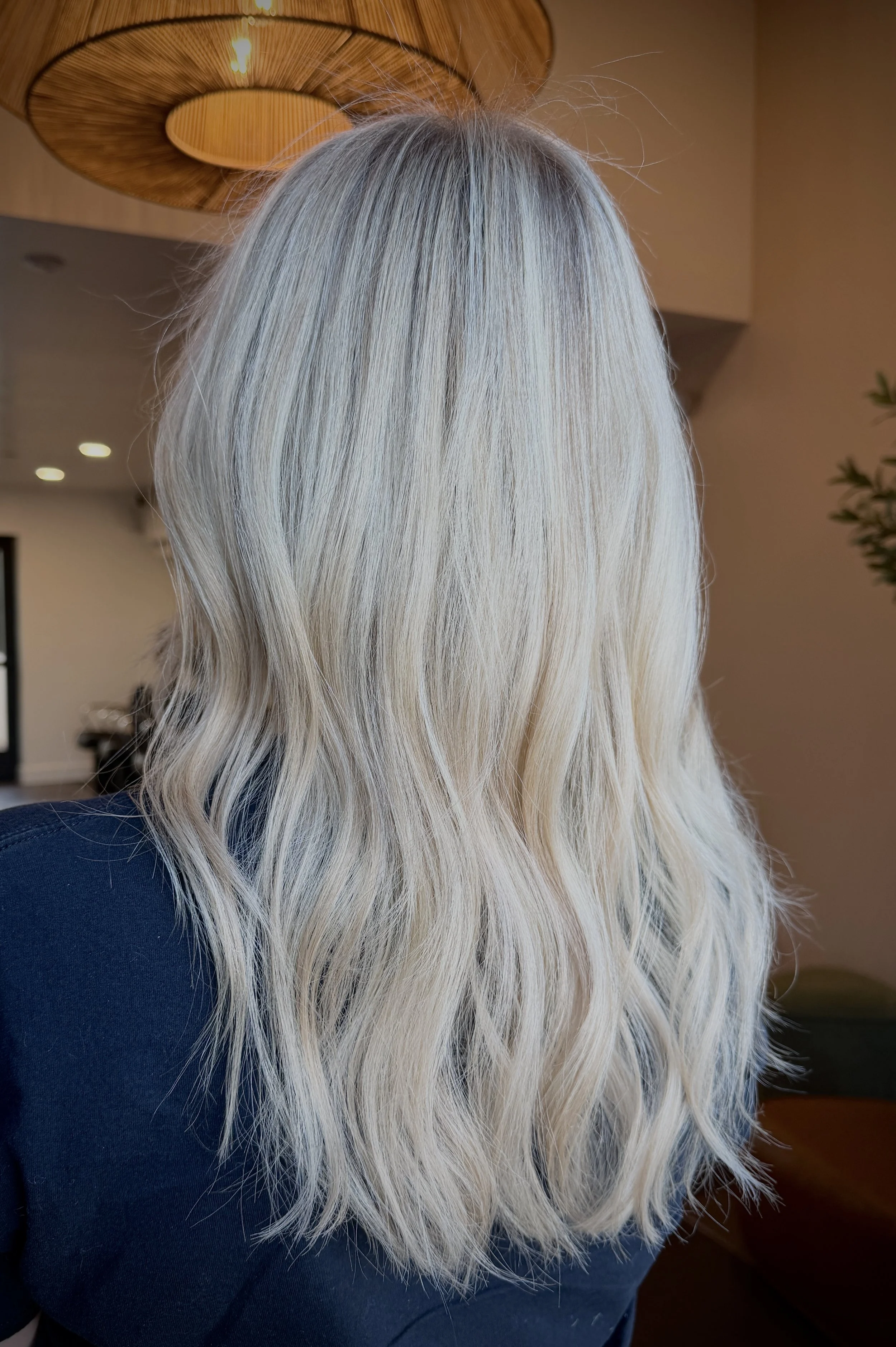 Platinum Blonde Highlights