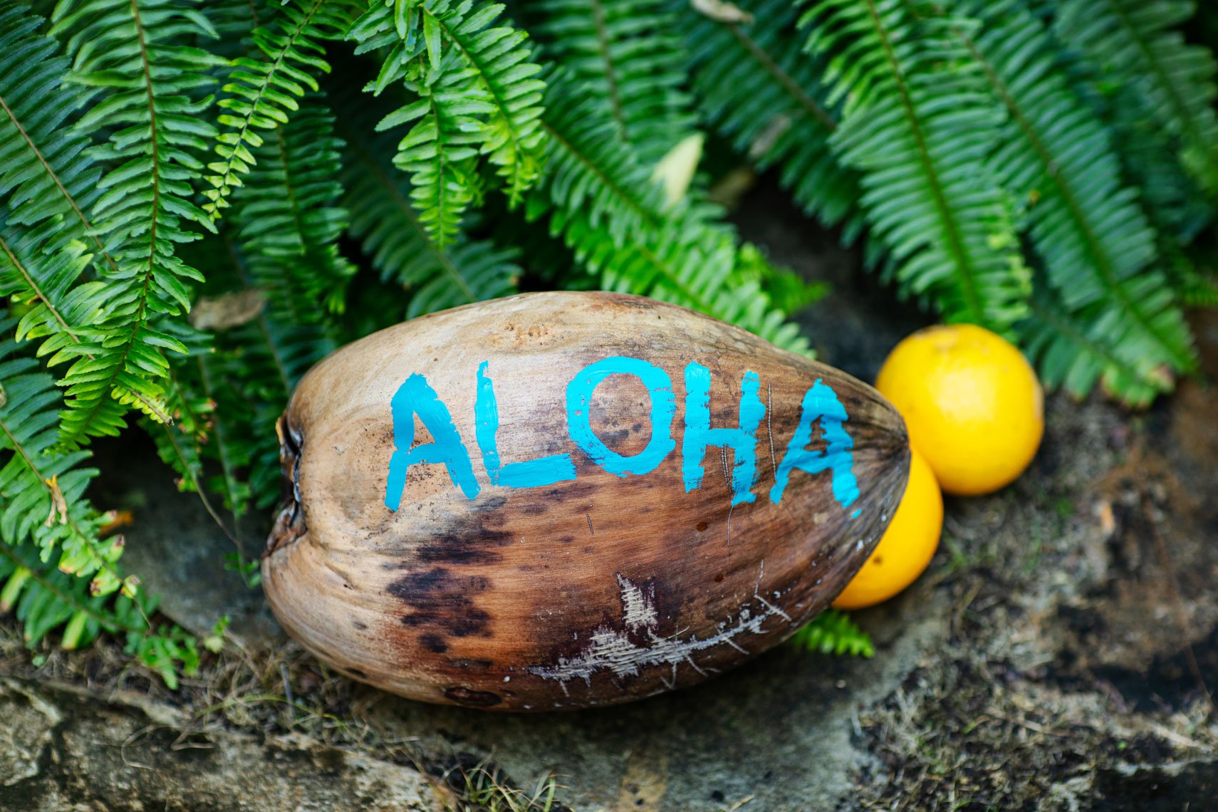 2020_Nespresso_Kona-3348.jpg