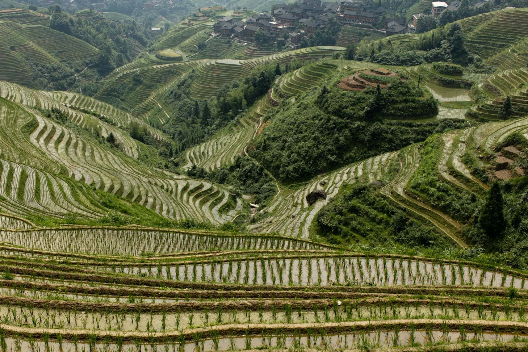 China_2016-8270.jpg