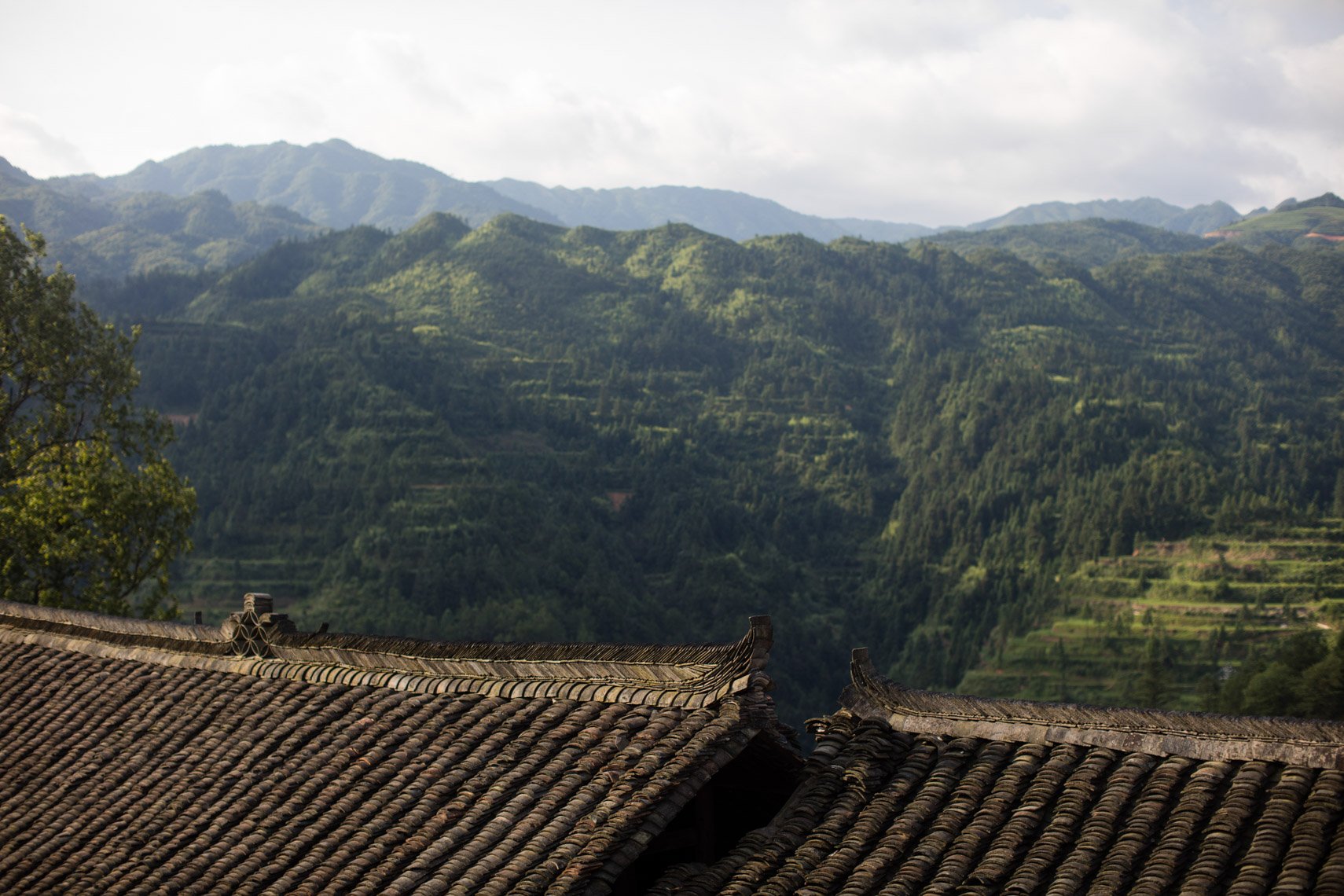 Accompany_China_2016_Braden-7694.jpg