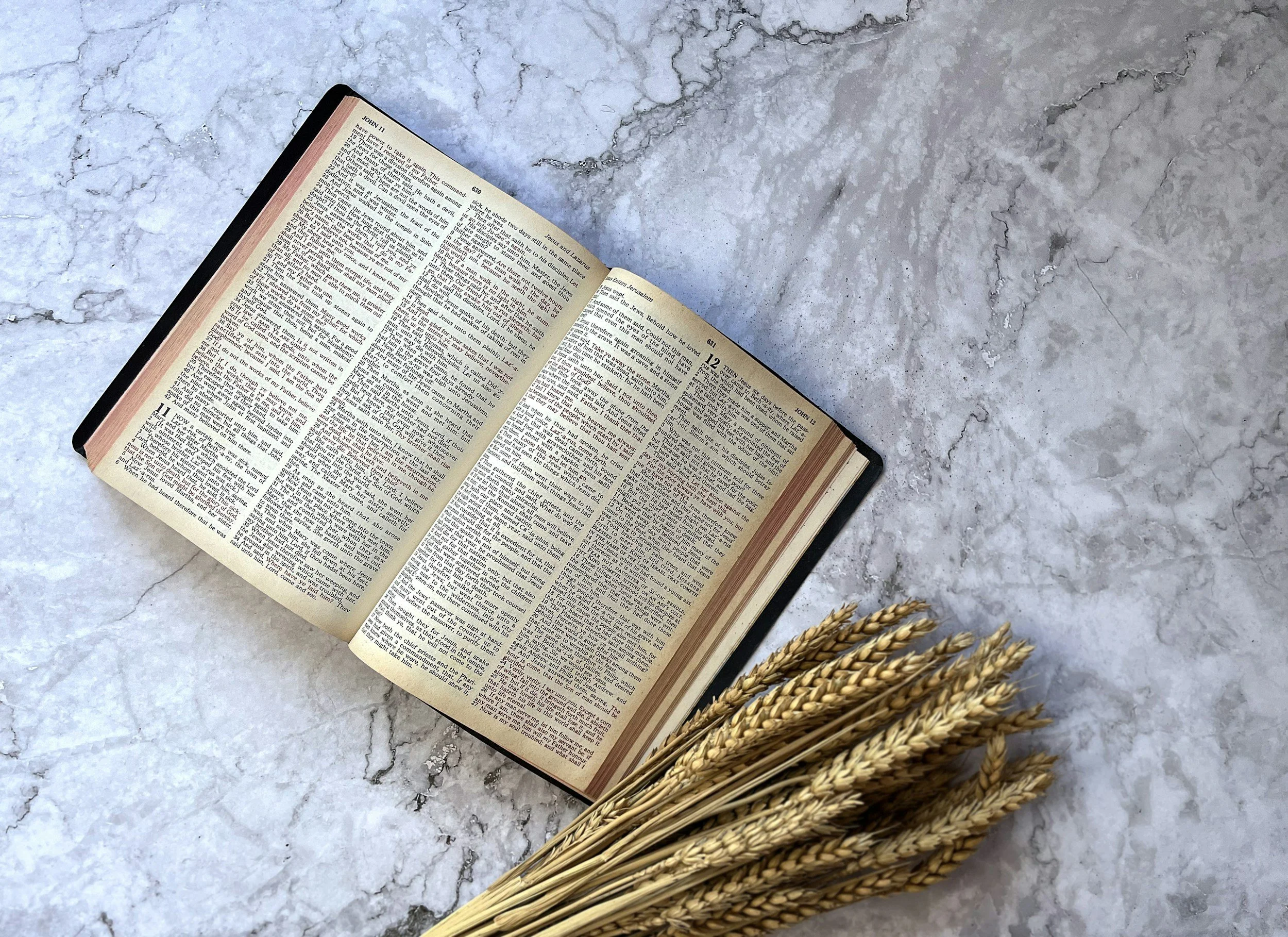 An open Bible placed on a marble surface with a small bunch of wheat stalks beside it.
