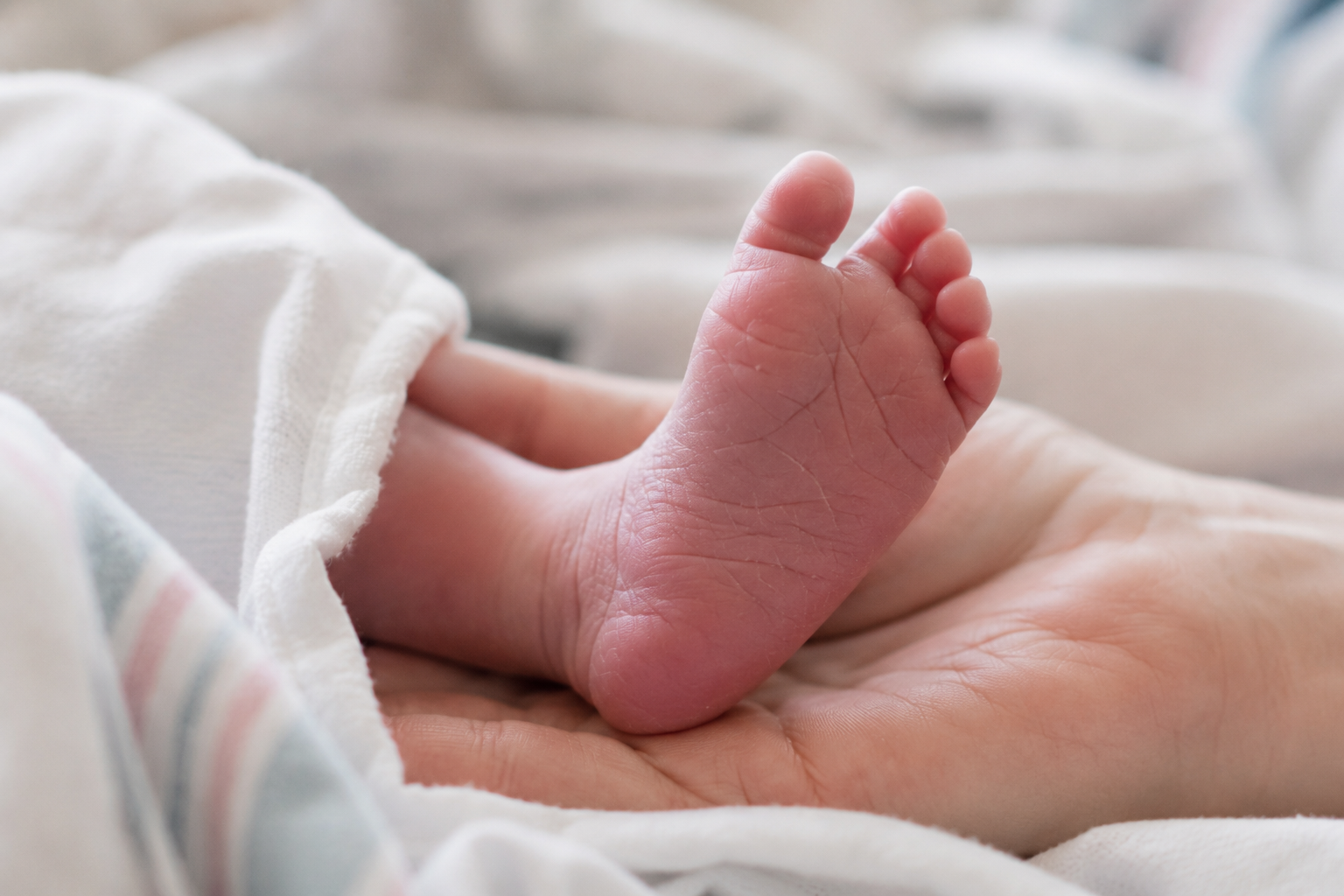 baby foot.png