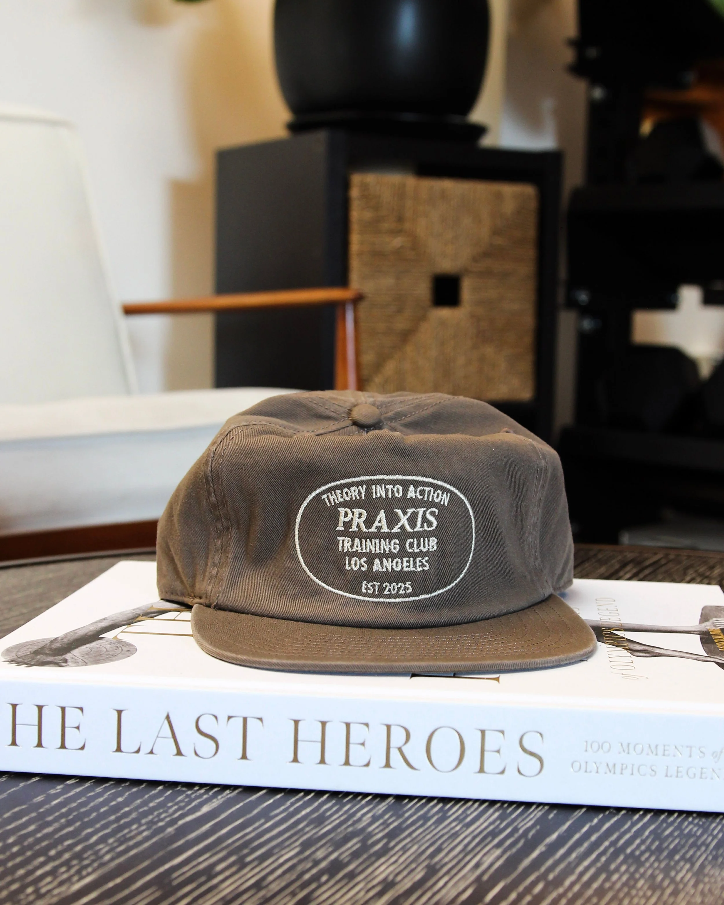 Theory into Action hat
