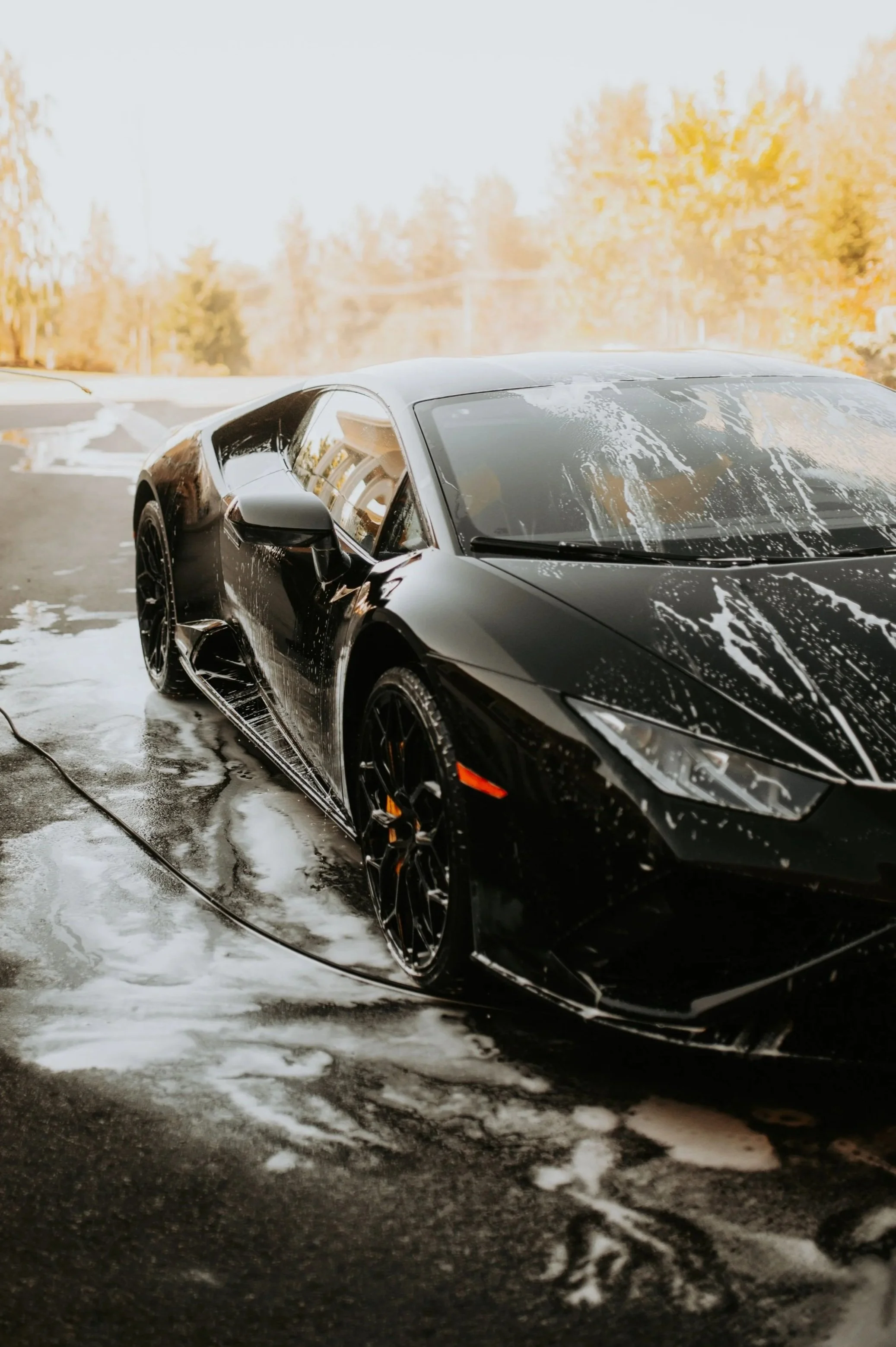 A black sports car being washed with soap and water, with soap suds on the hood and windshield, on a wet driveway during the daytime with autumn trees in the background.