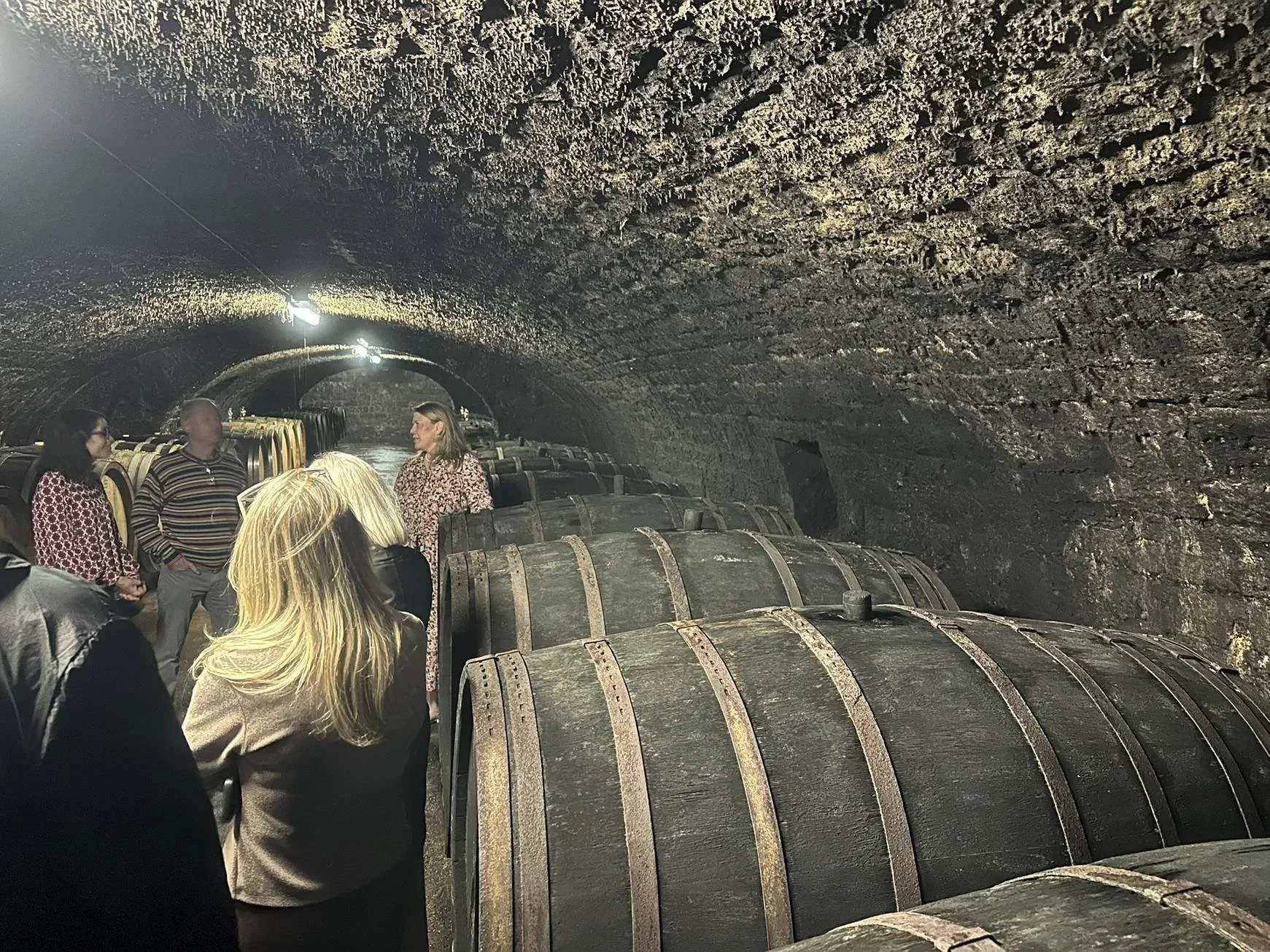 Guests touring a vaulted stone cellar lined with old oak casks