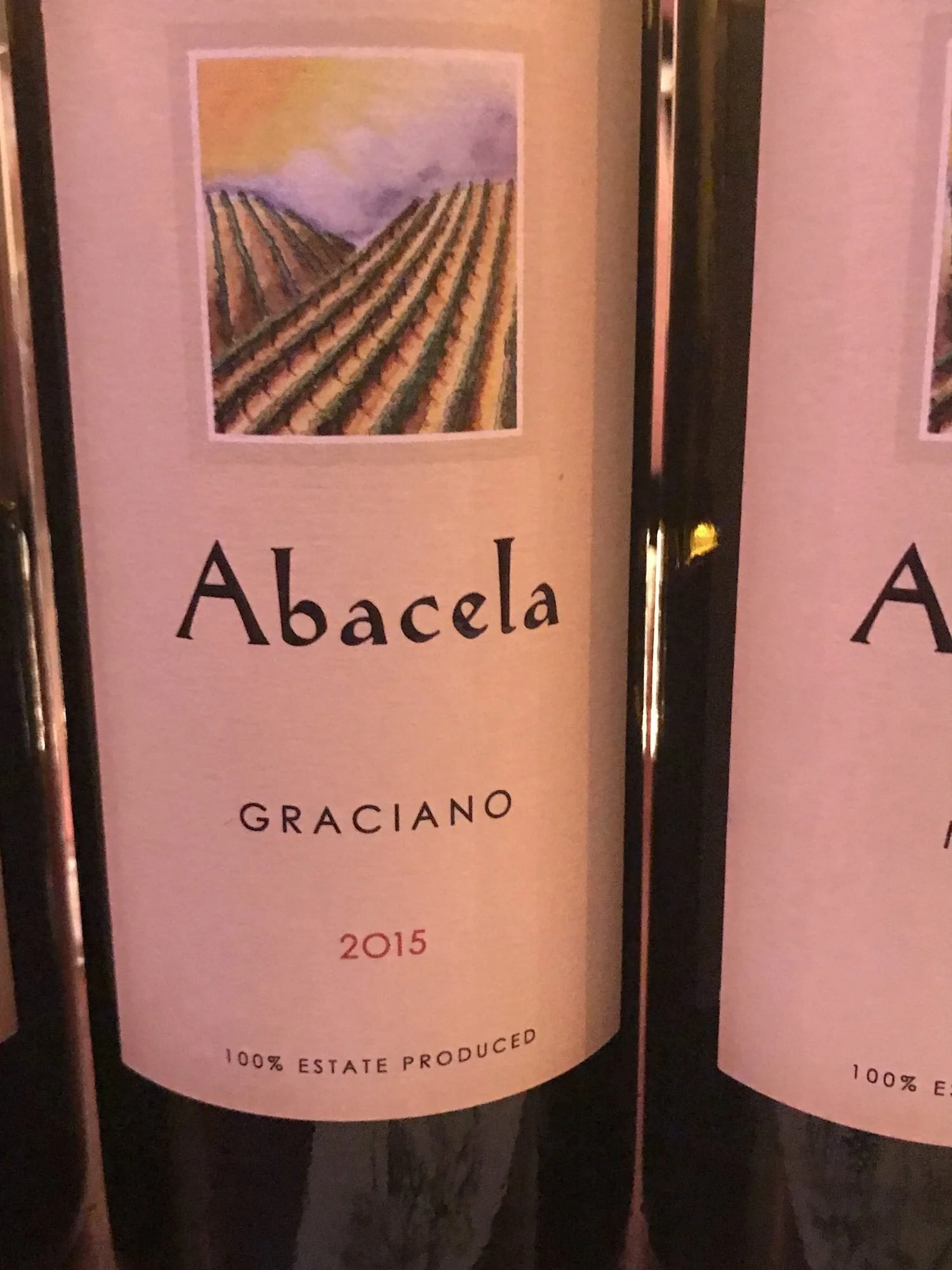 Very Special Abacela Wine Meetup!, photograph 8