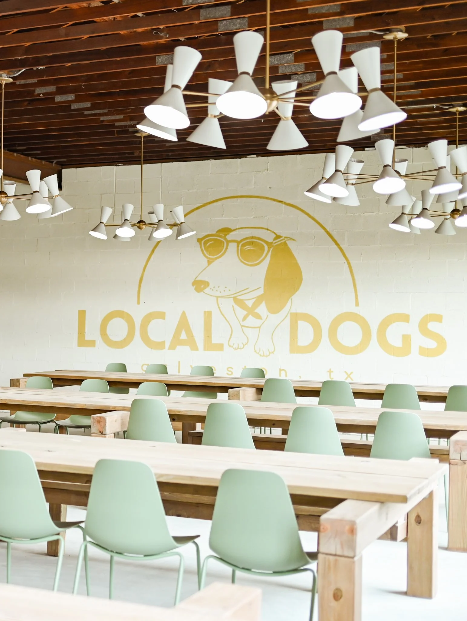 LocalDogsEJO-1-3.jpg