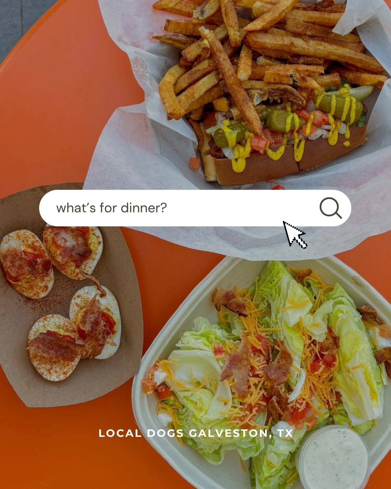 LocalDogsEJO-1-29.jpg