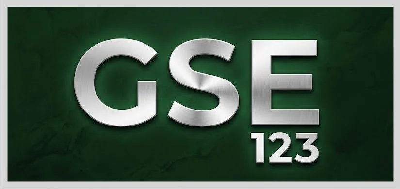 Silver 3D letters spelling 'GSE' with '123' underneath against a dark green background.