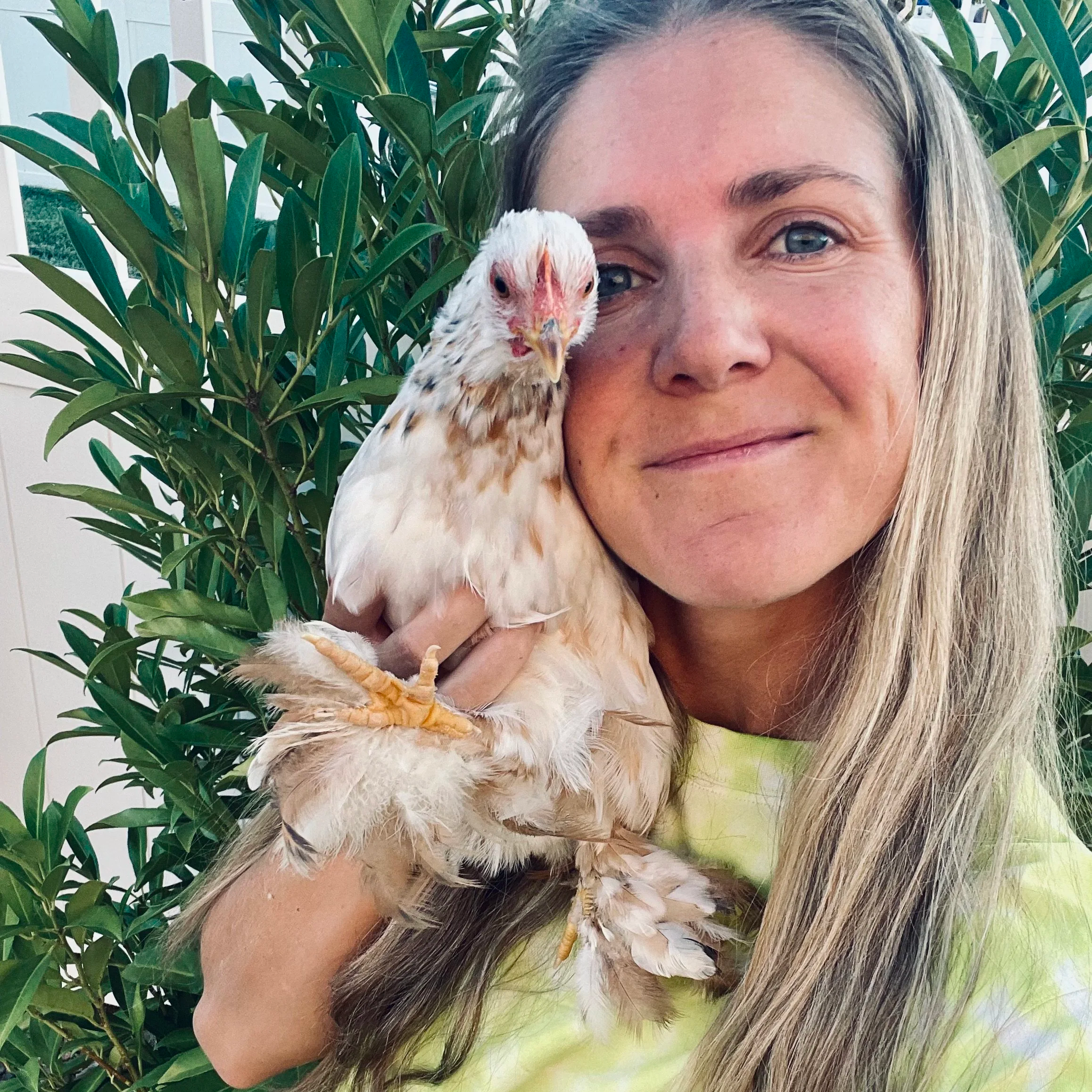 A woman with blonde hair holds a white chicken with black markings close to her face near a leafy green bush.