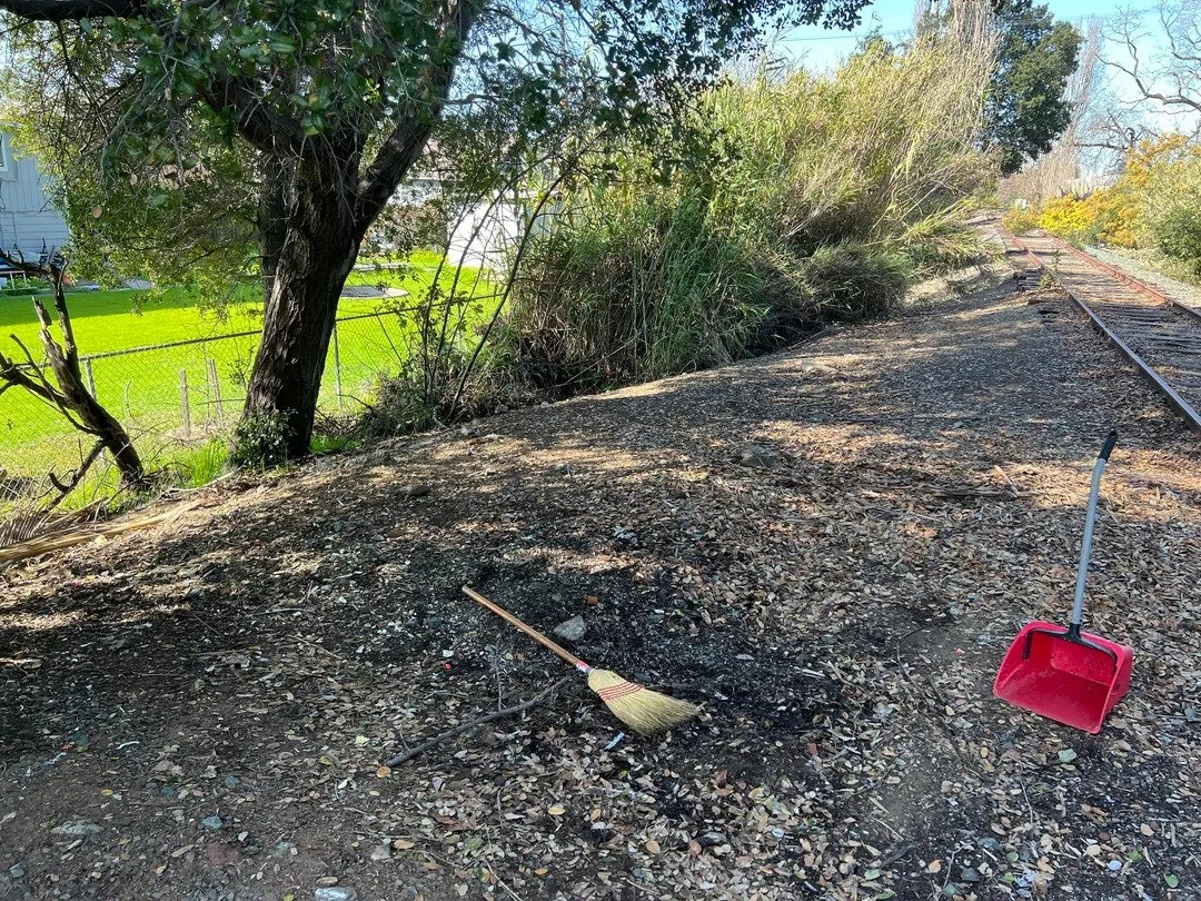 After photo of a completed yard cleanup and debris removal project by Coastal Cleanup & Hauling in Orlando, FL.