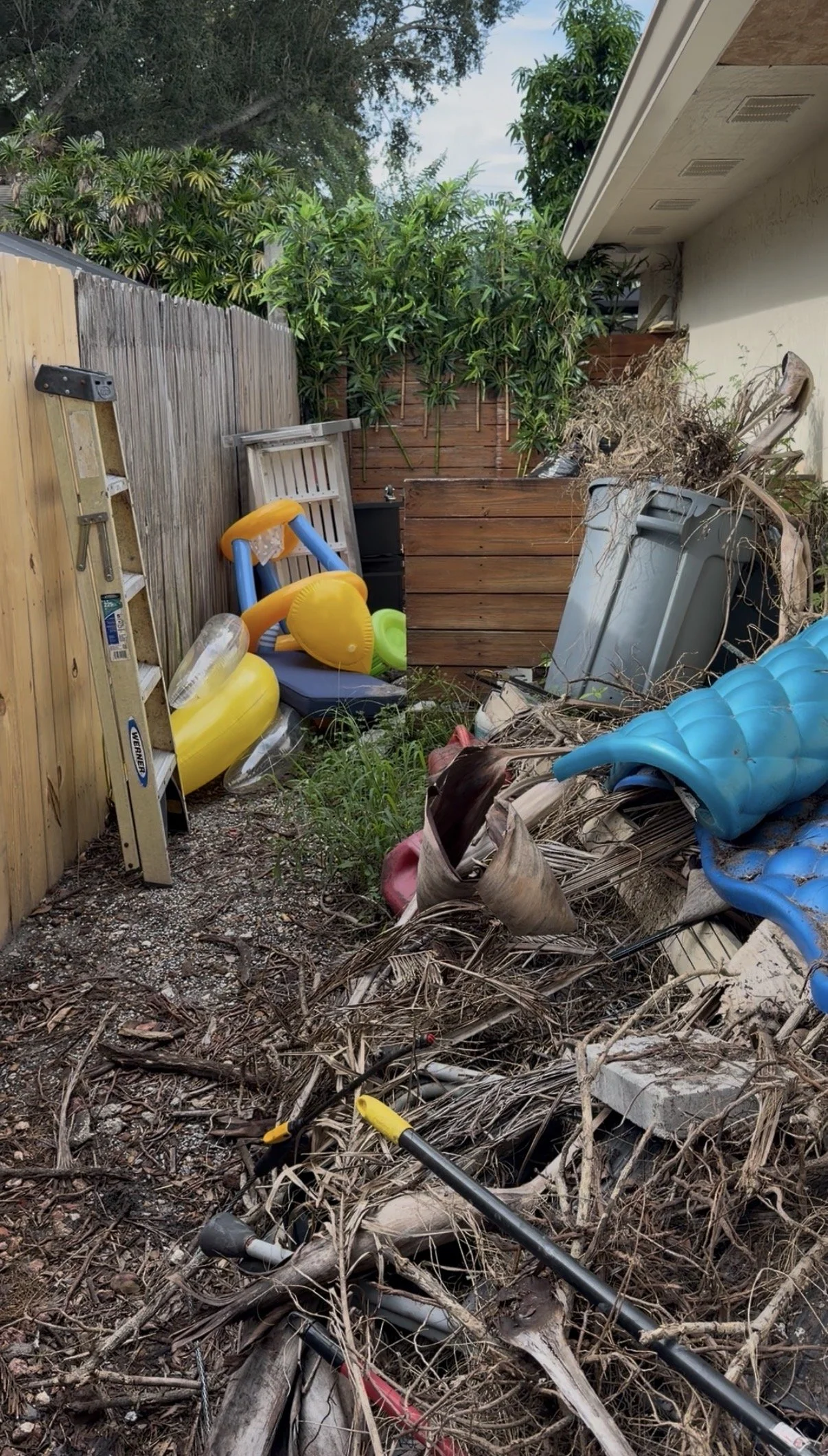 BEFORE – Yard Cleanup & Junk Removal