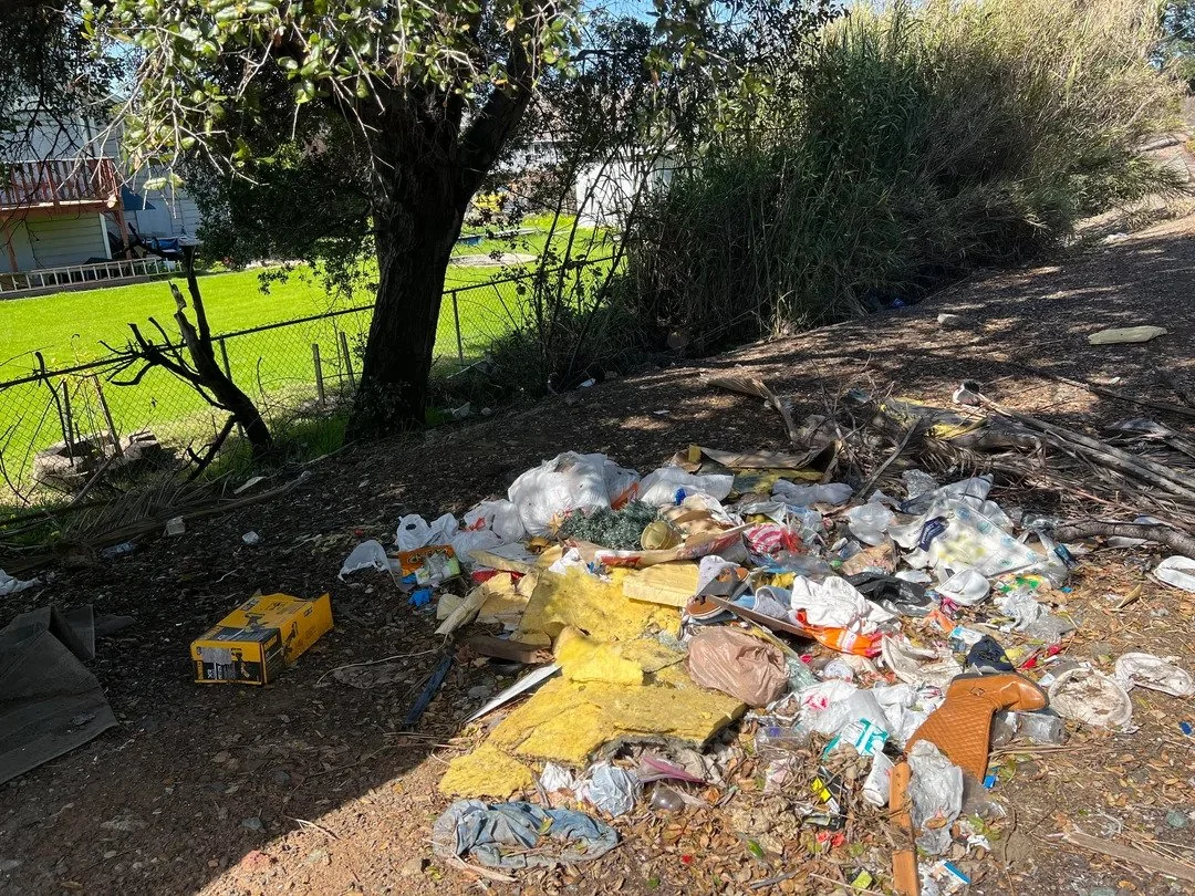 Before photo of a yard debris removal and property cleanup project in Orlando, FL.