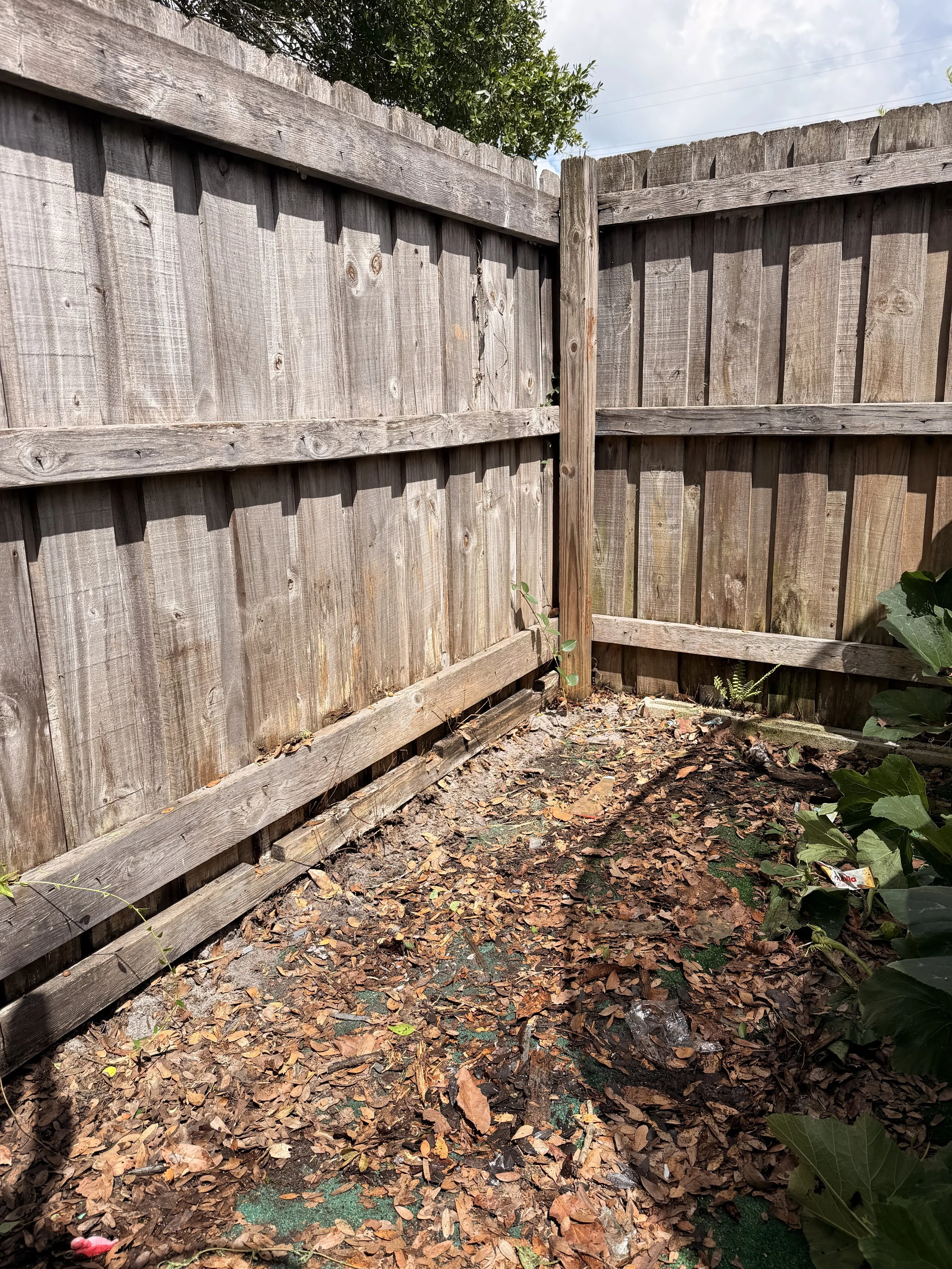 AFTER – Backyard Junk Removal & Debris Cleanup