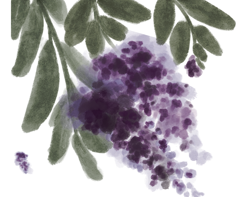 A watercolor painting by Jasmine Green of a purple flower with green leaves.