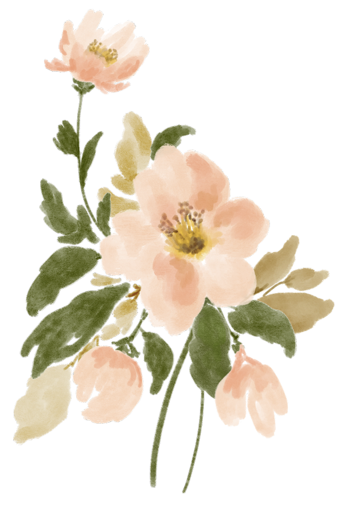 Original watercolor illustration by Jasmine Green of a blooming peach-colored camellia flower with green leaves and buds.