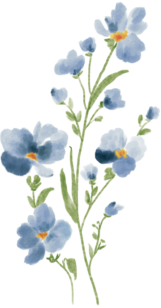 Watercolor illustration by Jasmine Green of a sprig of blue flowers with green stems and yellow centers.