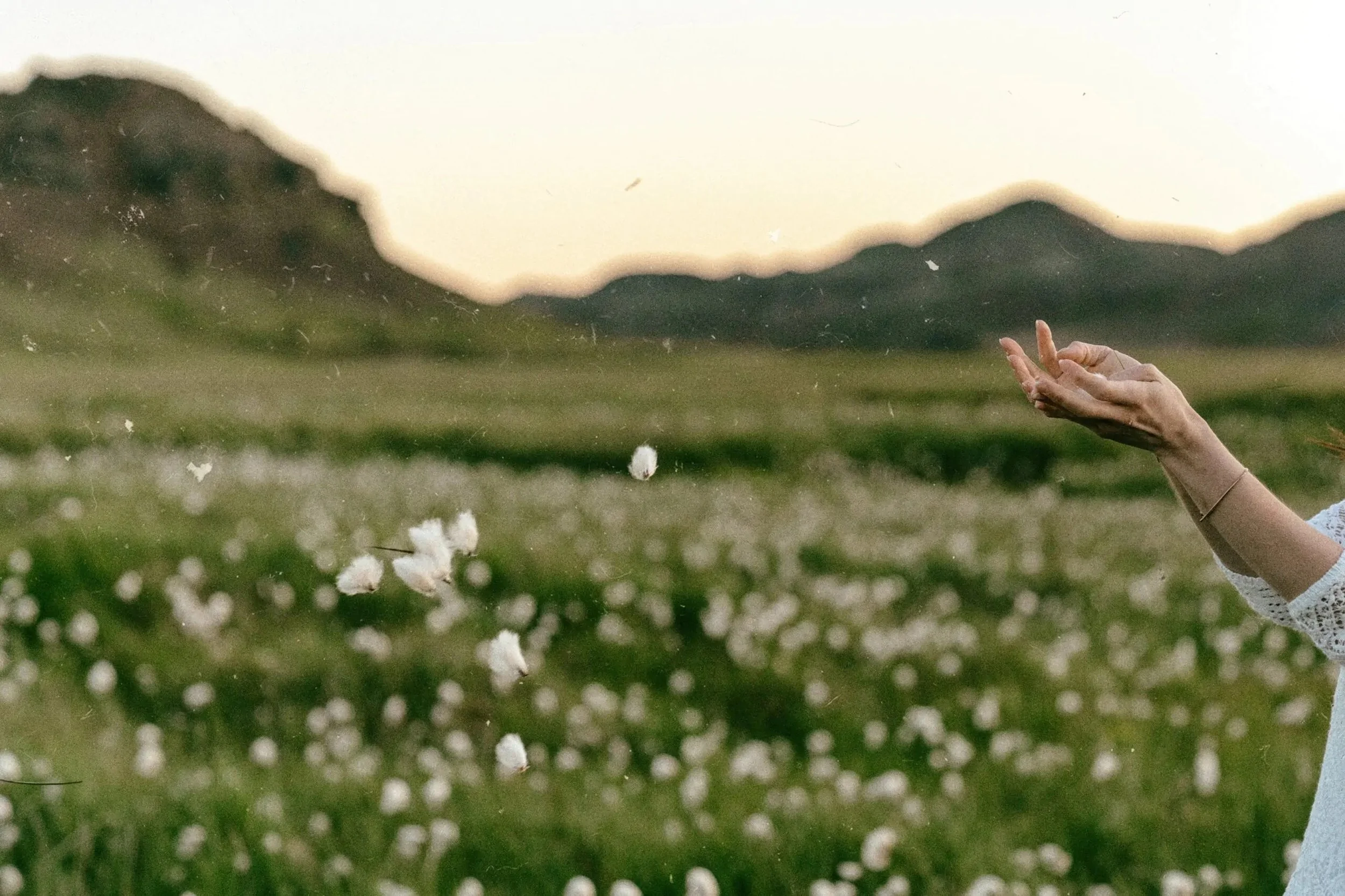How to go from Frantic &amp; Flustered to Flourishing
